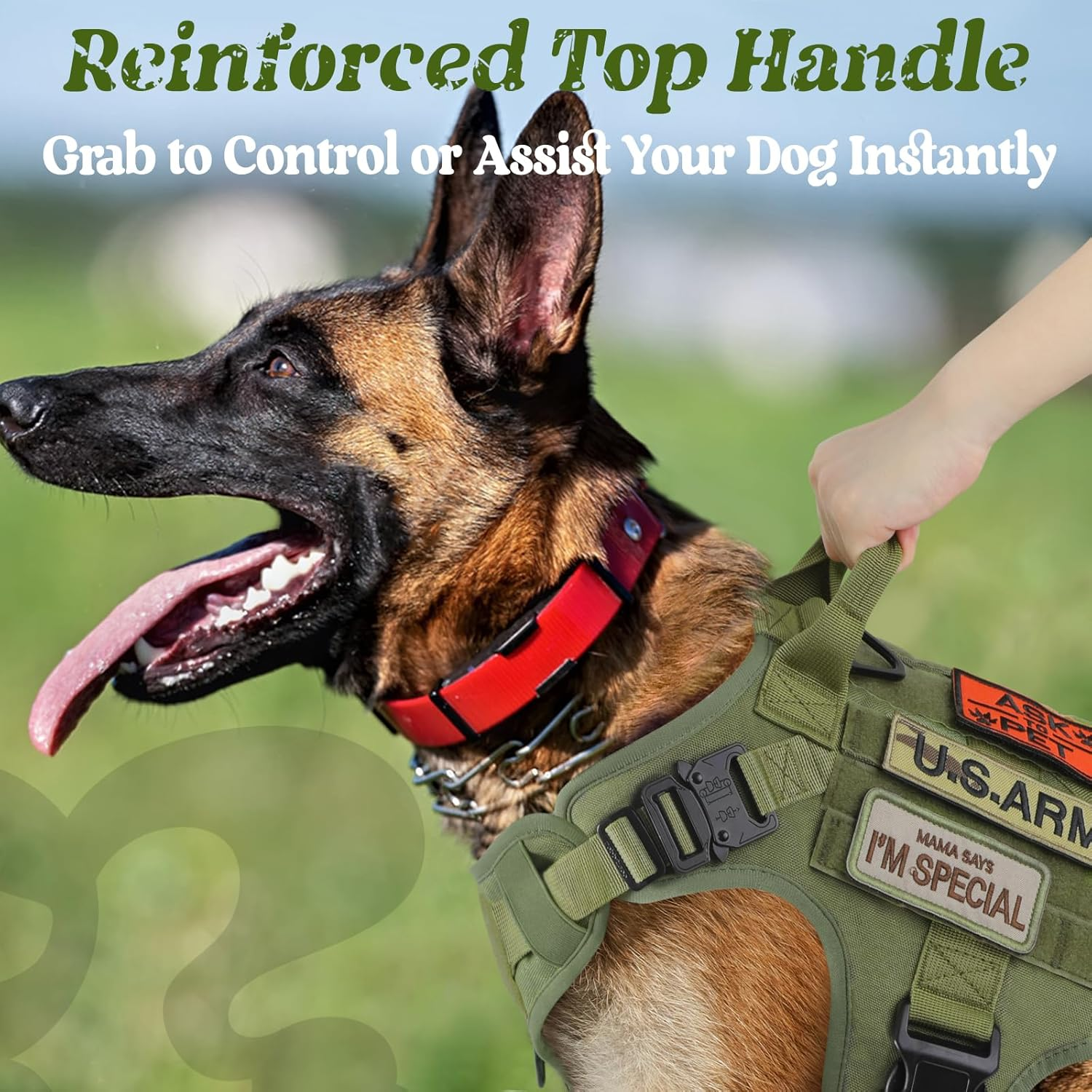 Rabbitgoo Tactical Dog Harness for Medium Dogs, Military Dog Harness with Handle, No-Pull Service Dog Vest with Molle & Loop Panels, Adjustable Dog Vest Harness for Training Hunting Walking, Green, M image number 5