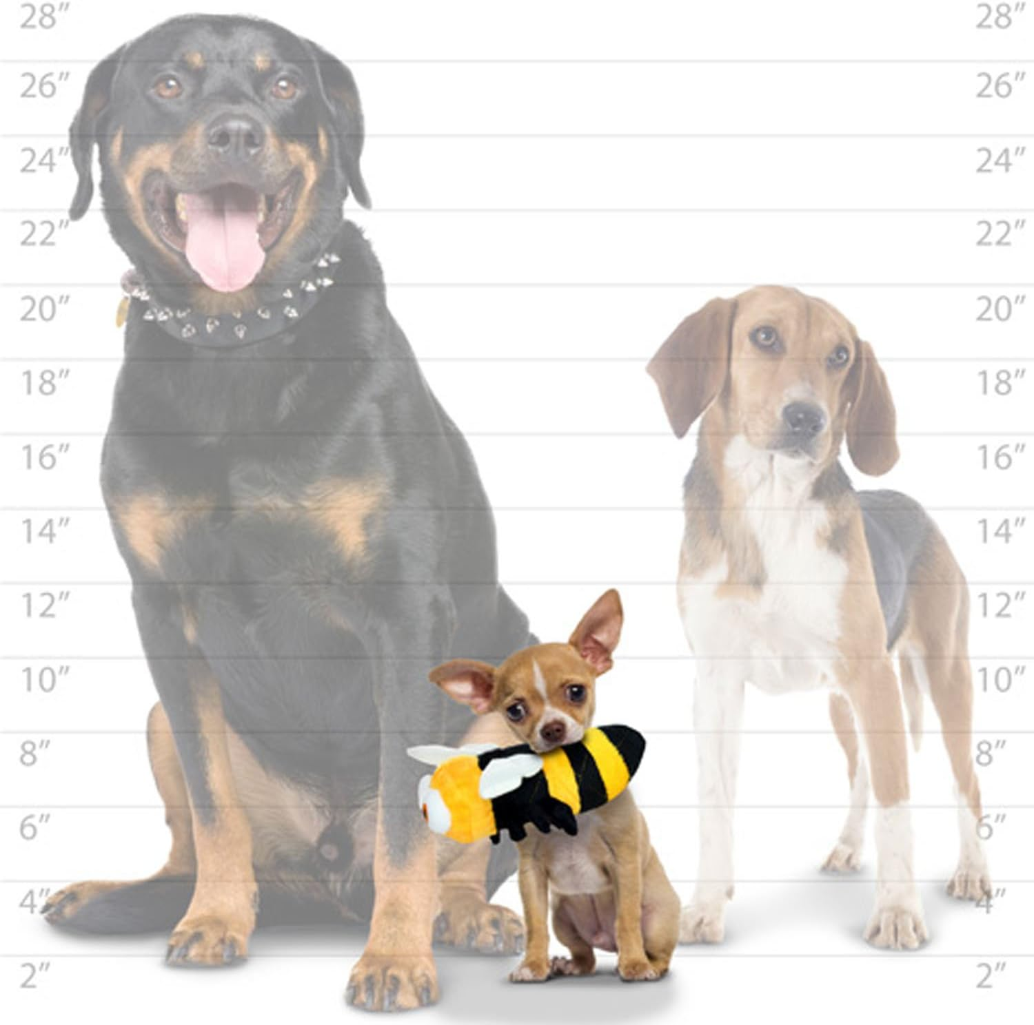 Tuffy Squeaky Plush Dog Toy, image number 3