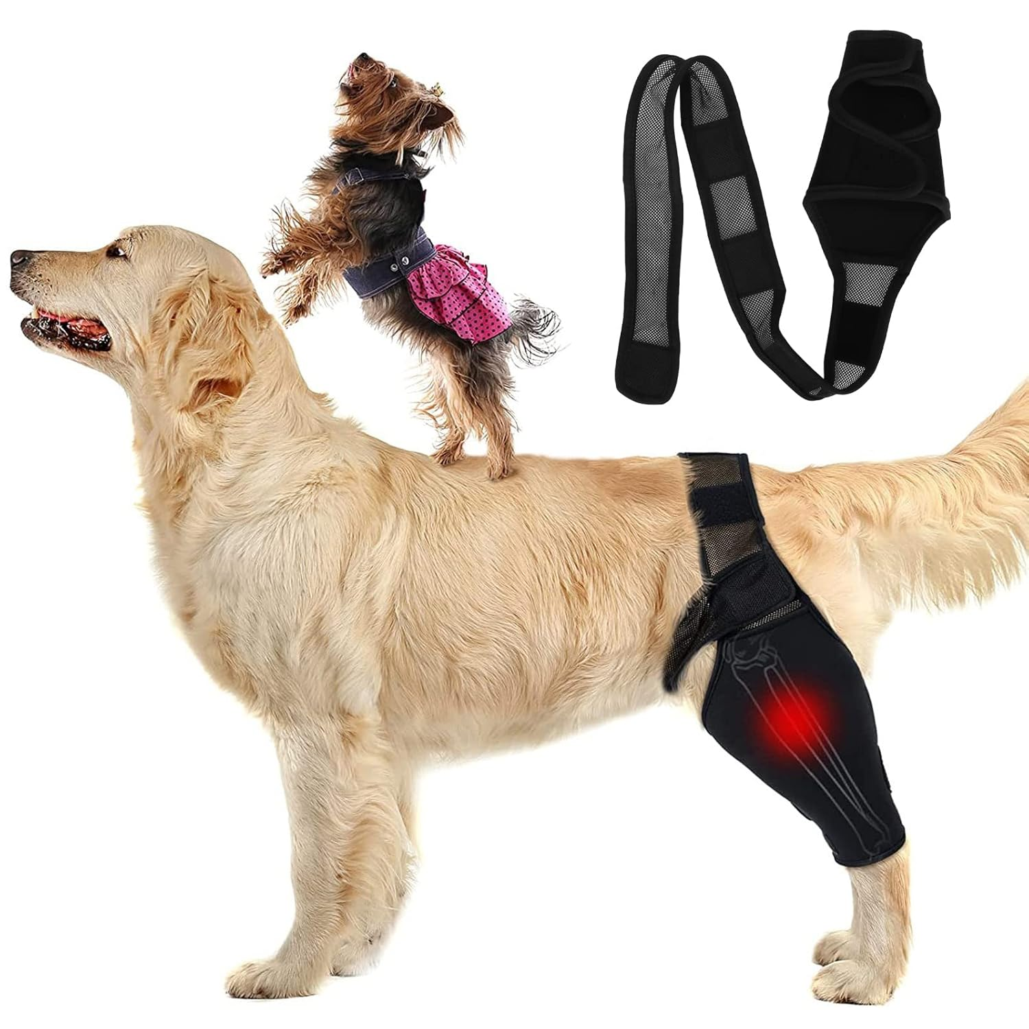 Dog Elbow Brace Protector Pads, Elbow Support Compression Wrap Knee Brace for Dogs Canine Elbow and Shoulder Support, Dysplasia, Arthritis, Elbow Calluses, Pressure Sores, Shoulder Dislocation(Xl)