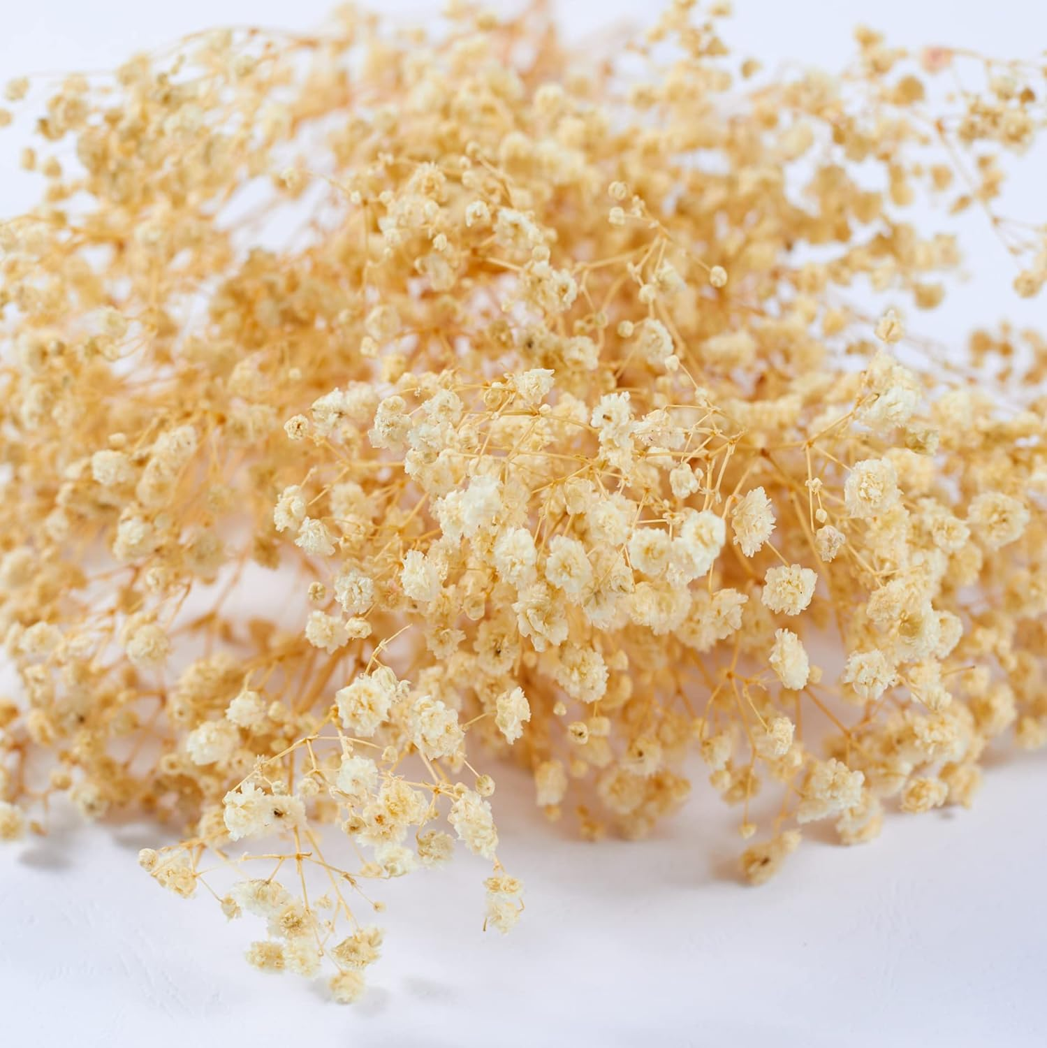 Preserved Baby'S Breath 3 Bunches, 100% Natrual Fresh Gypsophila Long Lasting Flowers for Vase Arrangements Home Decoration Photo Props Parties and Weddings, DIY D&eacute;cor-White