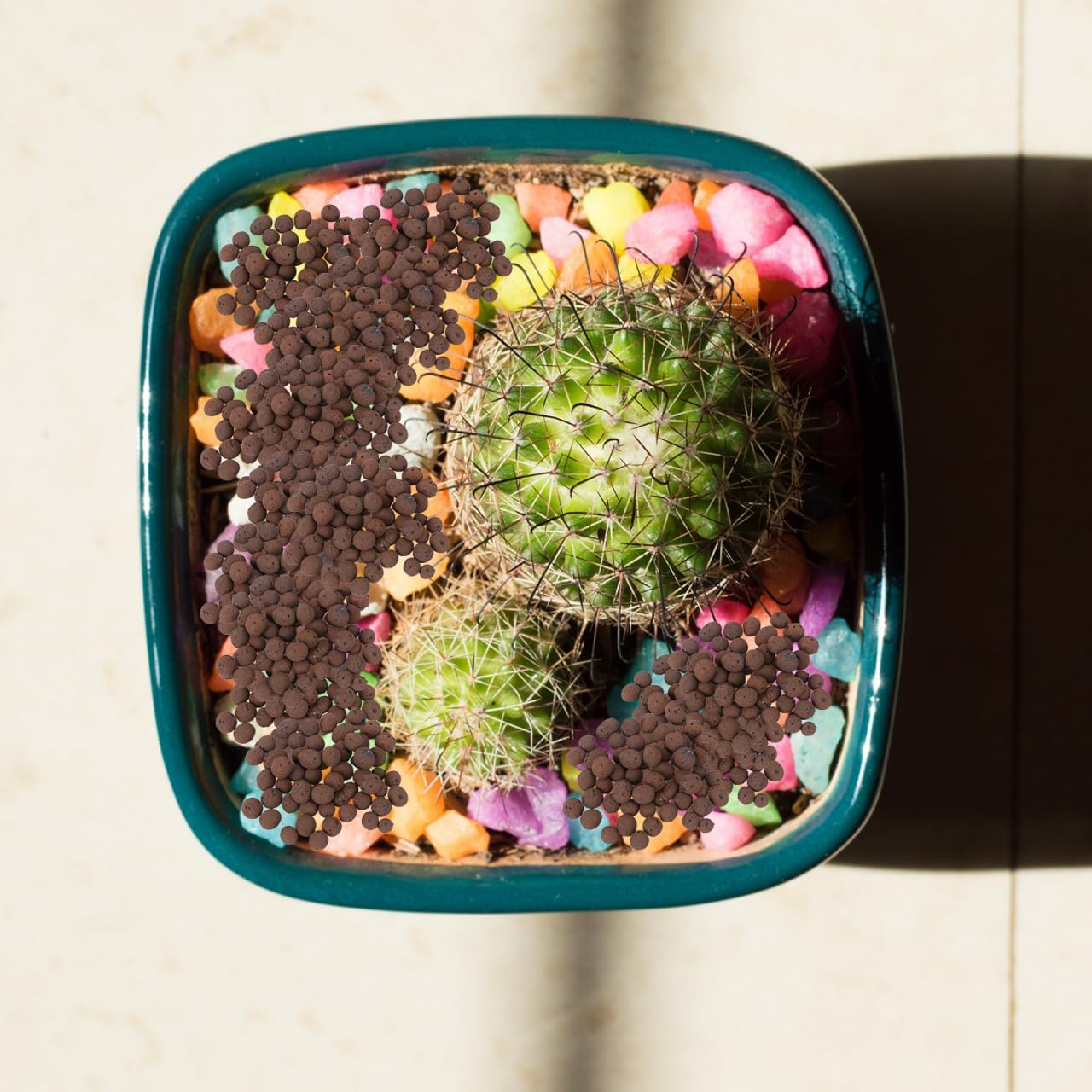 Garneck for Orchid Planting - Breathable Indoor Potting Soil - Lightweight Growing Medium for Healthy Roots Ideal for Home Decor and Garden Use 2L Bag image number 5