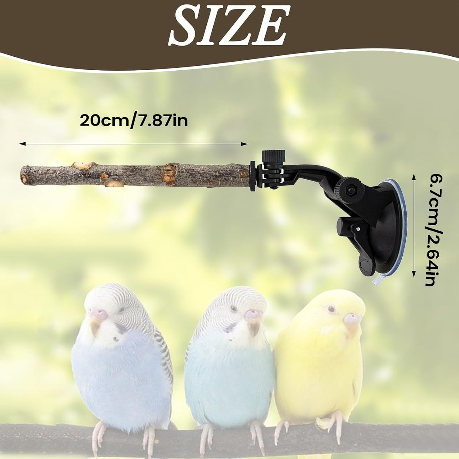 Suction Cup Bird Perch | Adjustable Stand Toy for Training,Wood Window Suction Cup Bird Perch Toy | for Balcony Apartment Patio Porch Tree Shower Wall Mirror image number 2