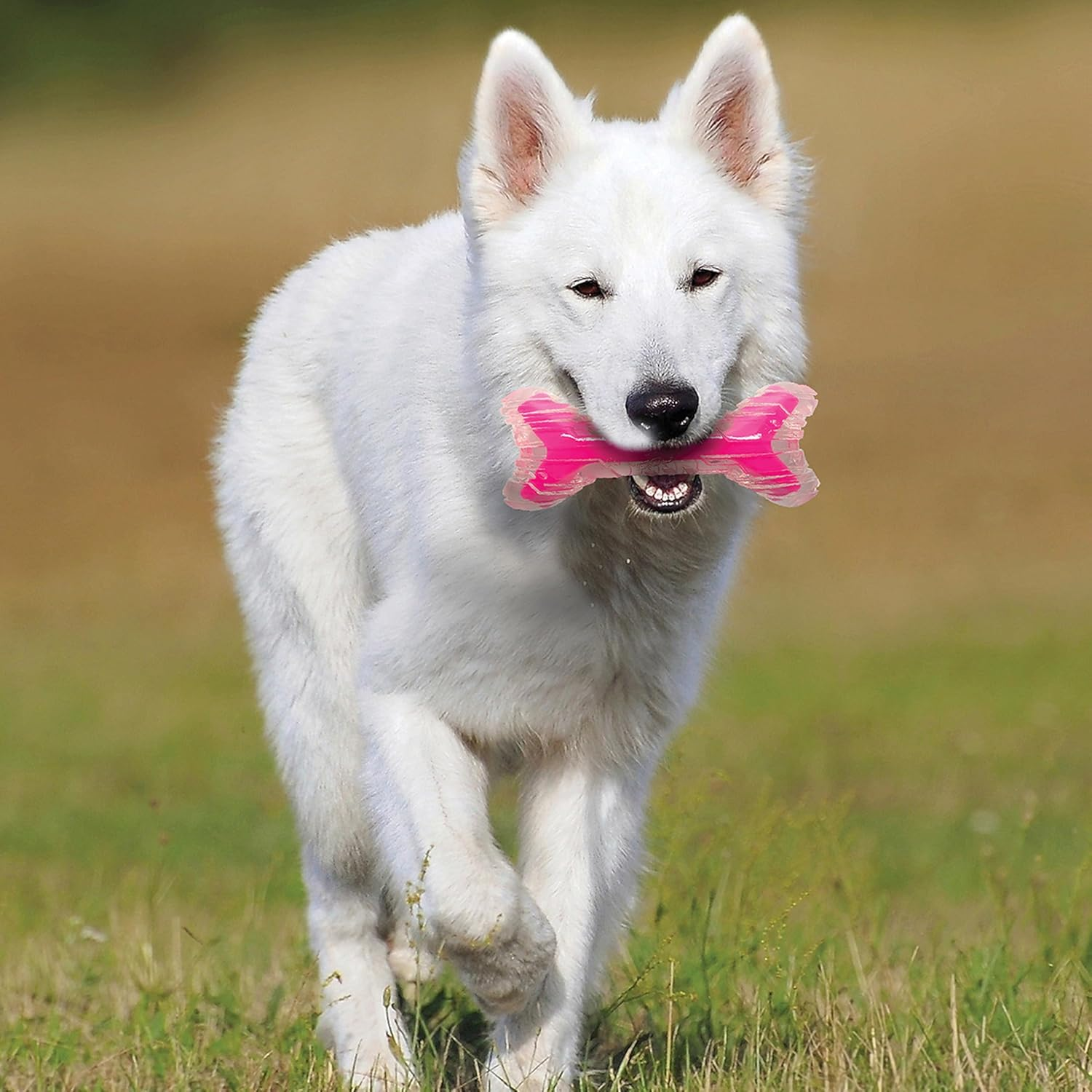 Nerf Super Scent Bacon TPR/PP Bone Clear/Pink 23Cm - Multicolor image number 2