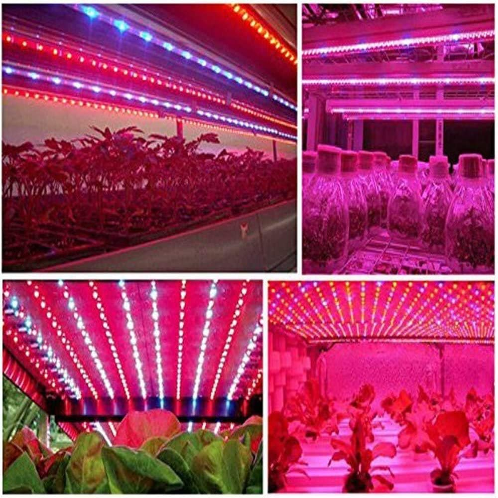 Tesfish LED Plant Grow Strip Light DC 12V IP65 Waterproof Full Spectrum SMD 5050 Red Blue 3:1 Rope Lights for Aquarium Greenhouse image number 3