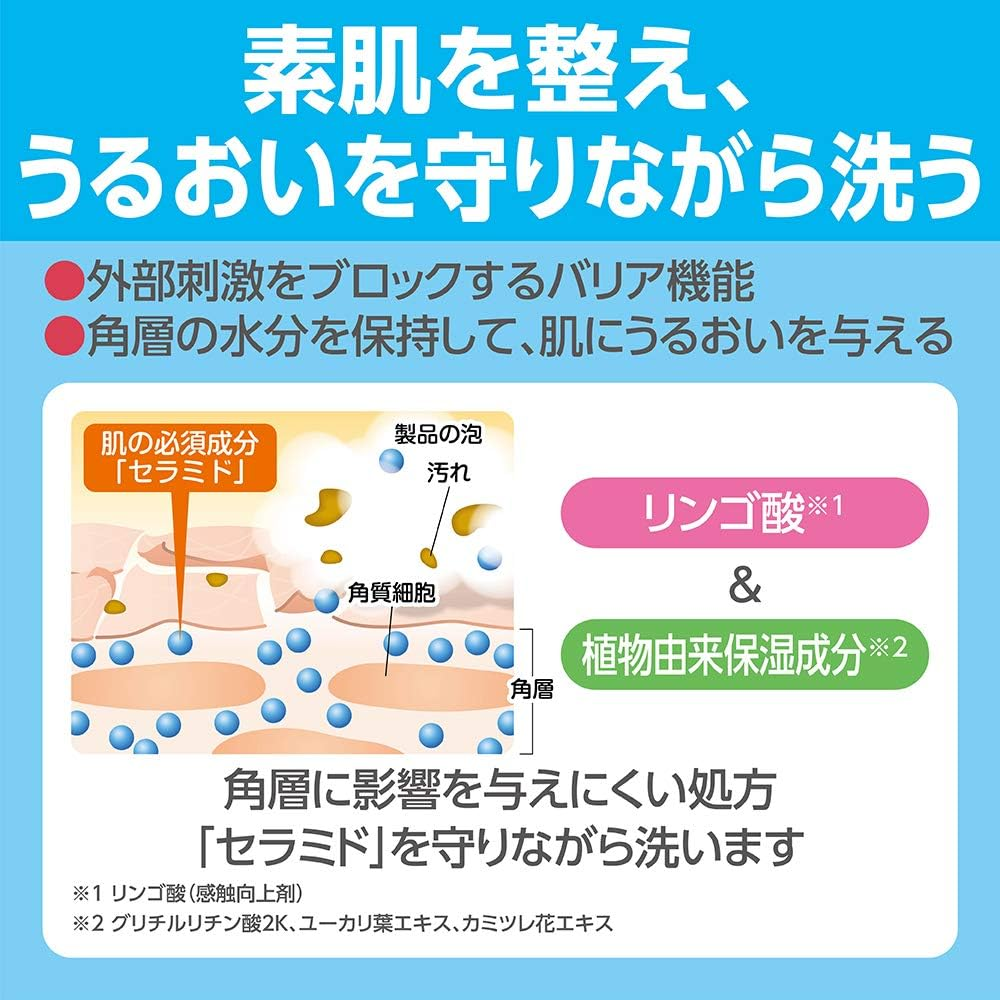 Kao Soft Foam Head & Body Shampoo, 0.6 Gal (2 L), Commercial Use, Weak Acidity, Formulated with Plant Moisturizing Ingredients, Green Floral Scent, Kao Professional Service