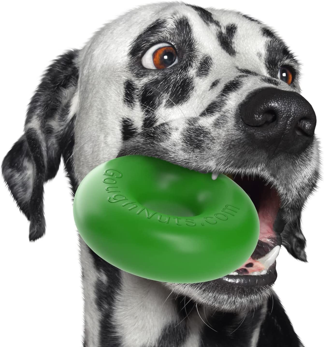 Goughnuts - Rubber Dog Chew Toy, Med .75 - Black Pro 50 Ring