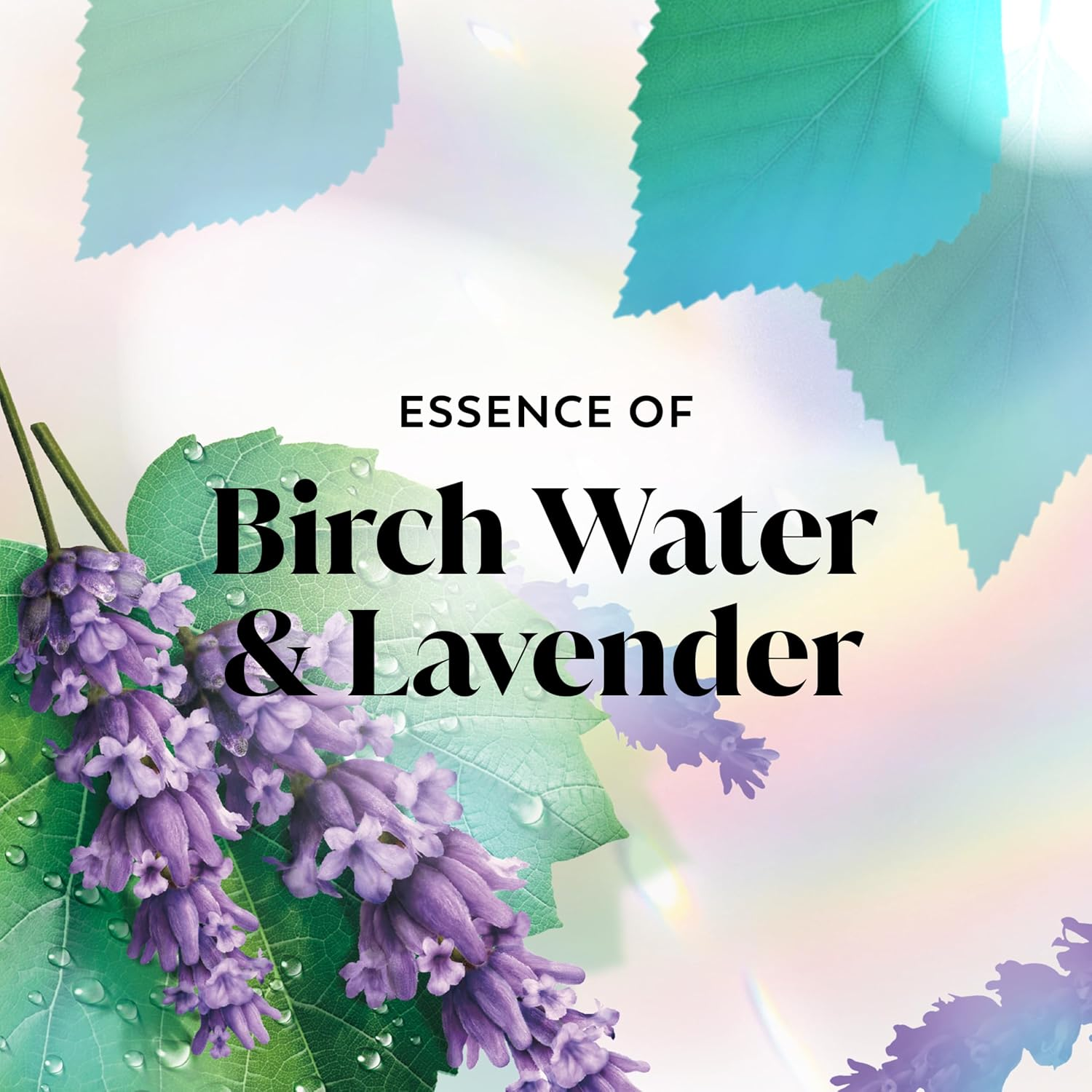 Olay Body Wash for Women, Fresh Radiance, Refreshing & Renewing, Made with Plant Based Cleansers, B3 Botanical Complex, for All Skin Types, Birch Water & Lavender Scent, 33 Fl Oz (Pack of 4) image number 5