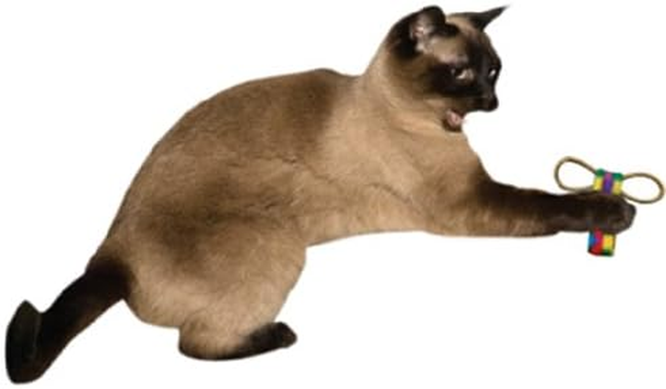 Cat Dancer 805 Bowtie Chaser Interactive Cat Toy, 2-Pack image number 1