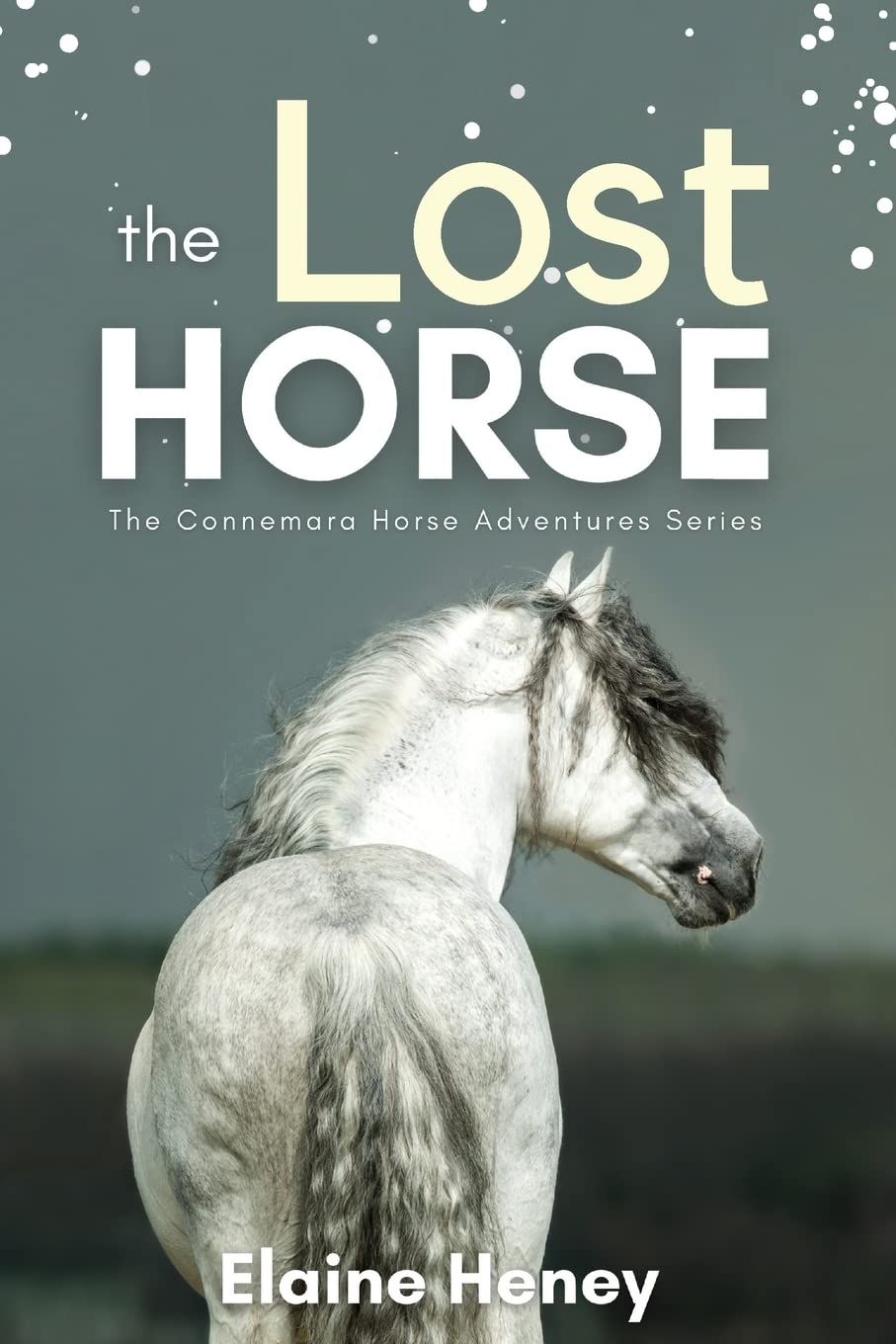 The Lost Horse - Book 6 in the Connemara Horse Adventure Series for Kids | the Perfect Gift for Children Age 8-12