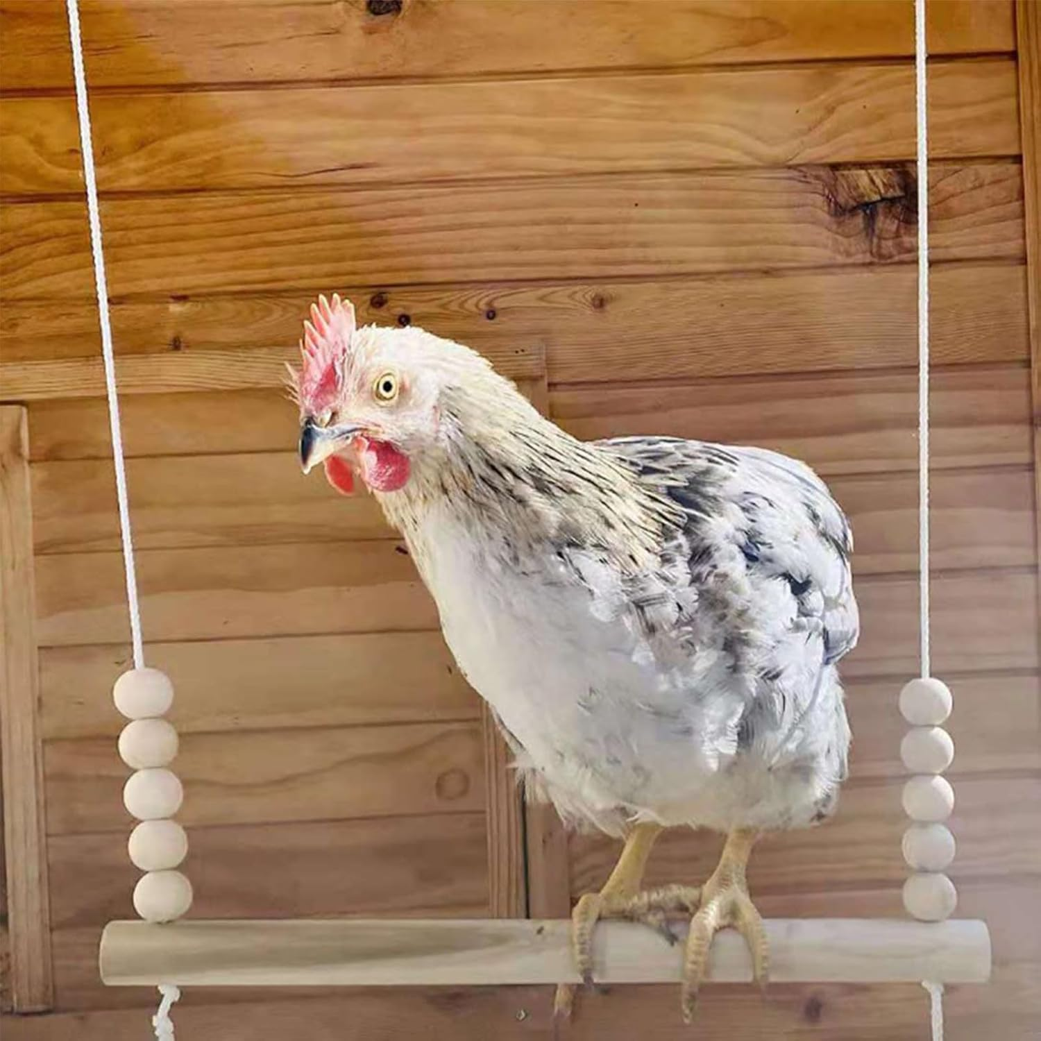 Chicken Swing - Wood Chicken Swing Toy | Perch Ladder Safe Play Enrichment Interactive Climbing Equipment for Backyard Farm Poultry Parrots Hens Rooster image number 6