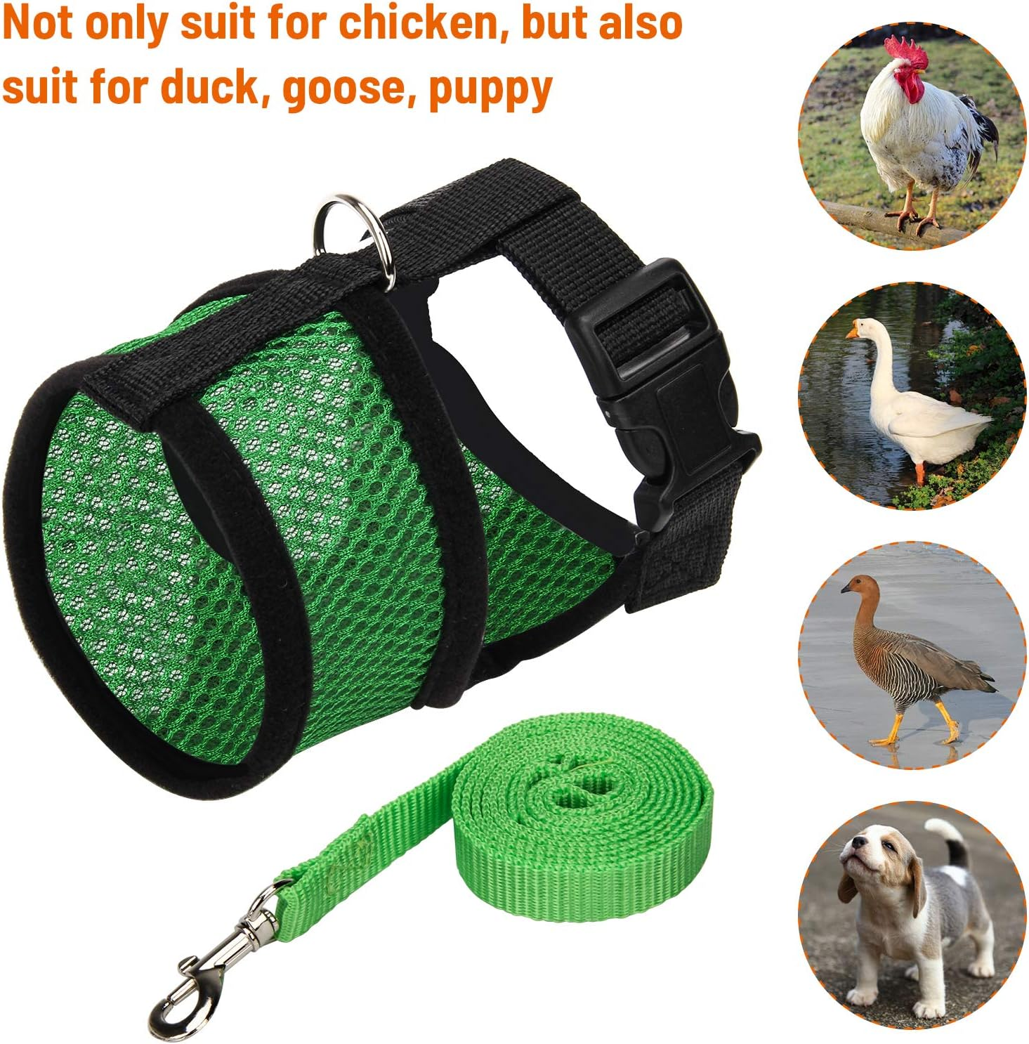 Chicken Harness with Leash, Adjustable Chicken Leash for Hens, Duck, Puppy (Green, M) - Green image number 5