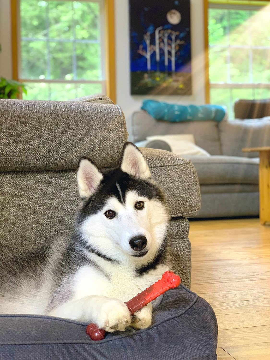 Nylabone Extreme Tough Dog Chew Toy Bone, Durable, Cleans Teeth, Beef Jerky Flavour, Large, for Dogs up to 23 Kg image number 4