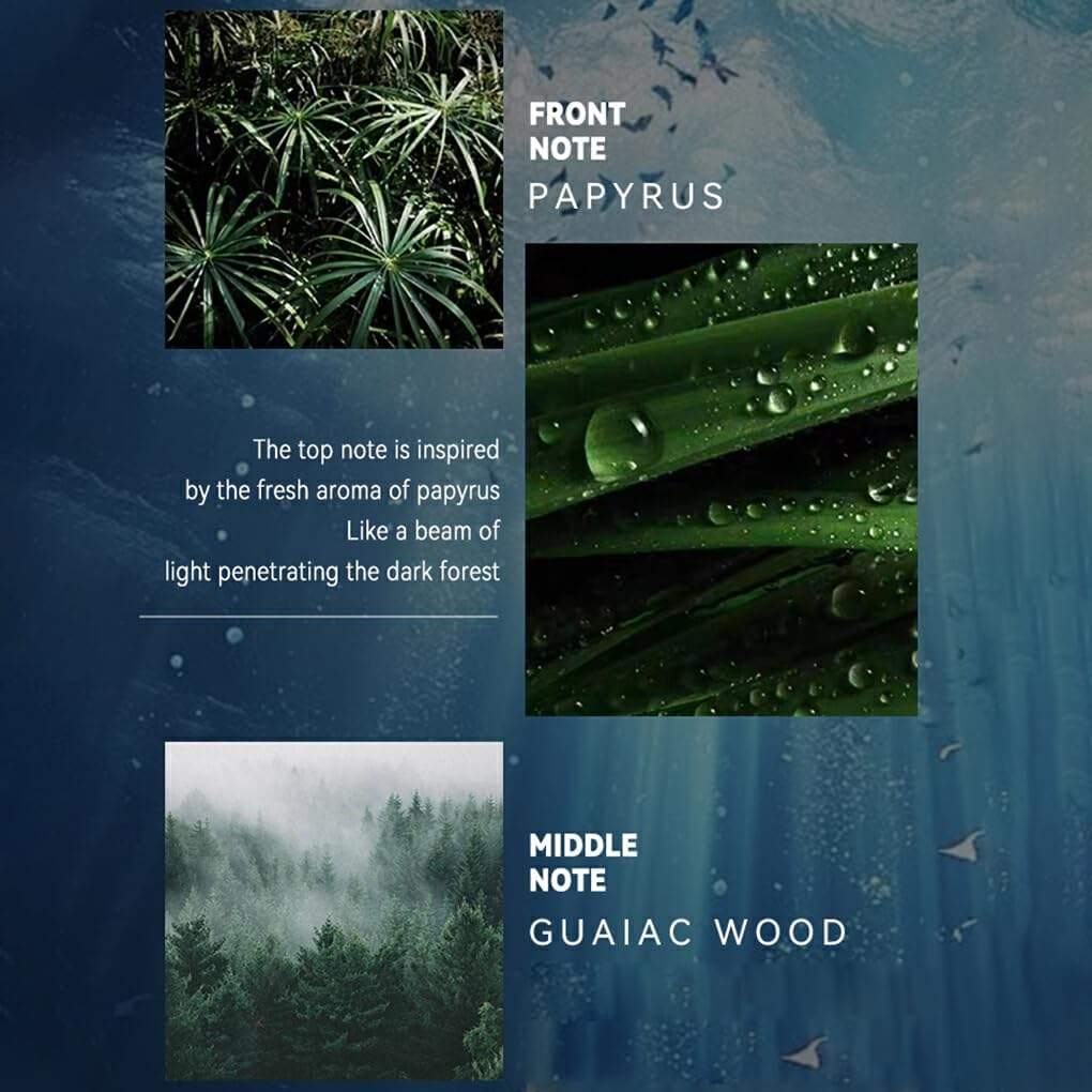 CLSSLVVBN Nature S Deep Emotional Power in Elegant Star Holiday Perfume Craftsmen Adopt Nature and Will Obtain Deep and Powerful image number 2