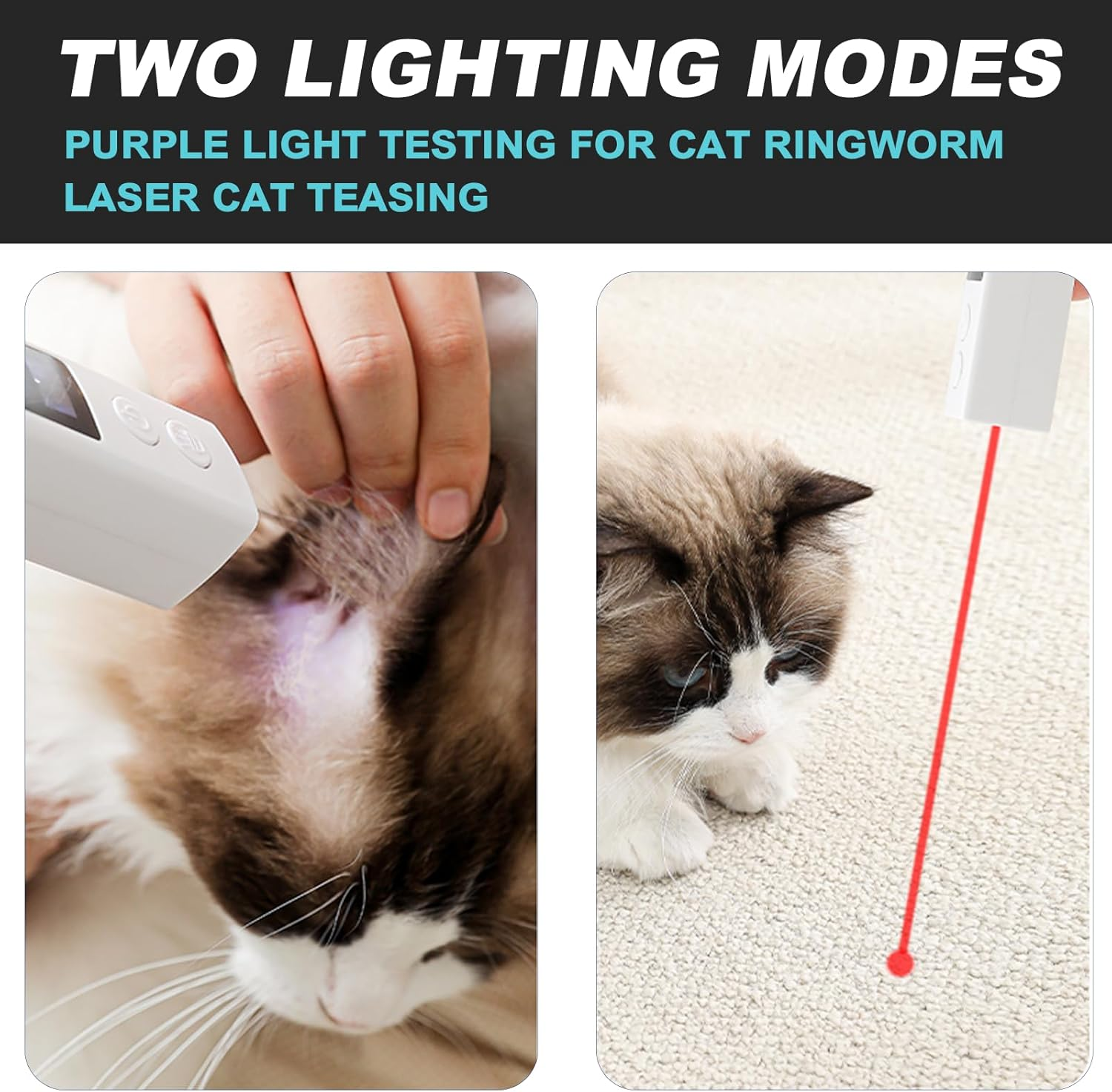 Koalakraft Dog Nail Grinder and Clippers Set &ndash; Rechargeable, Low Noise Electric Pet Nail Grinder for Dogs & Cats, LED Display, 4 Adjustable Speeds, Grooming Kit with Dog Nail Trimmer & File image number 1