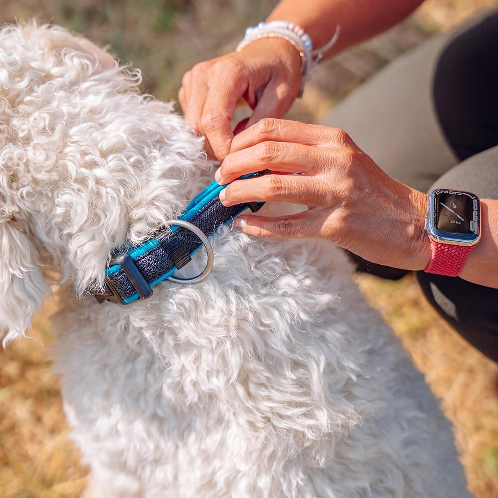Nobby Preno Mesh Dog Collar, 25-35 Cm/15-20 Mm, Turquoise - Grey image number 2