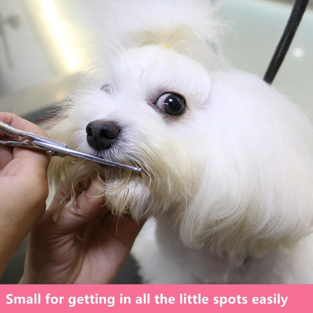 HASHIMOTO Small Dog Scissors with Rounded Tips, 5.0 Inches, Straight Blade with Micro Serration, Designed for Trimming around the Eyes, Ears, Nose and Paws. image number 1