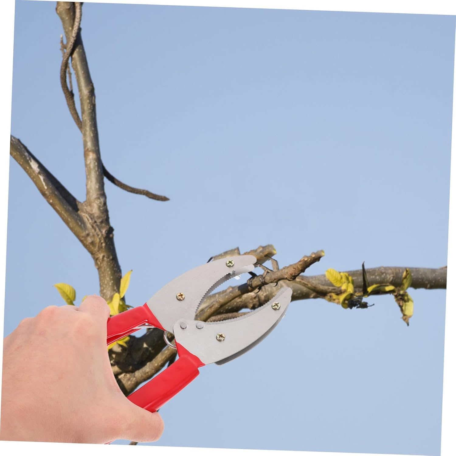 Mipcase Girdling Cutter for Fruit Trees Compact Hand Tool for Plant Stripping and Bark Cutting Lightweight Fruit Planting Tool for Orchards and Gardens image number 2