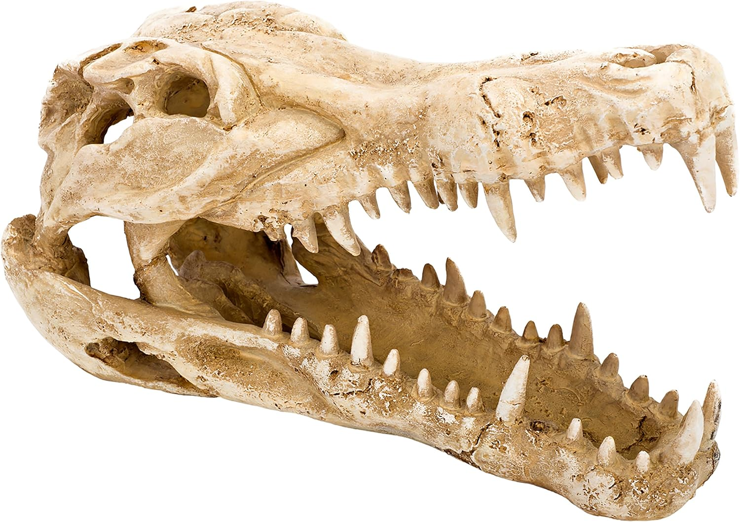 Penn-Plax RR1065 Crocodile Skull Animal Resin Ornament for Fish Tanks 9L X 4W X 5.5H image number 1