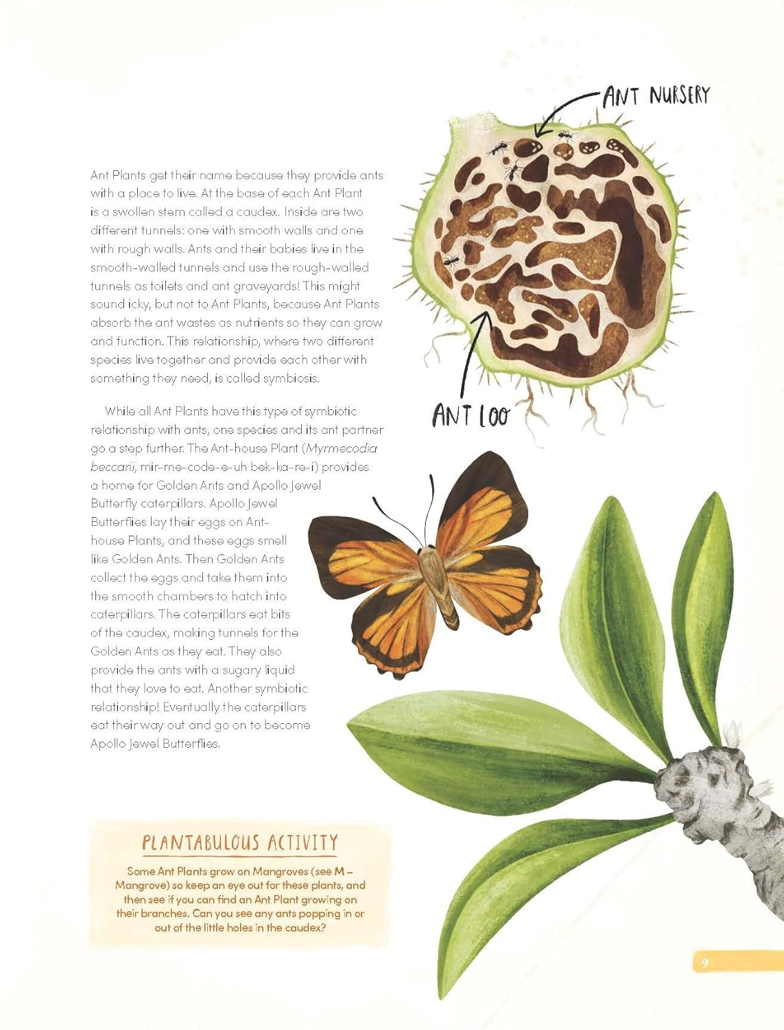 Plantabulous!: More a to Z of Australian Plants image number 6