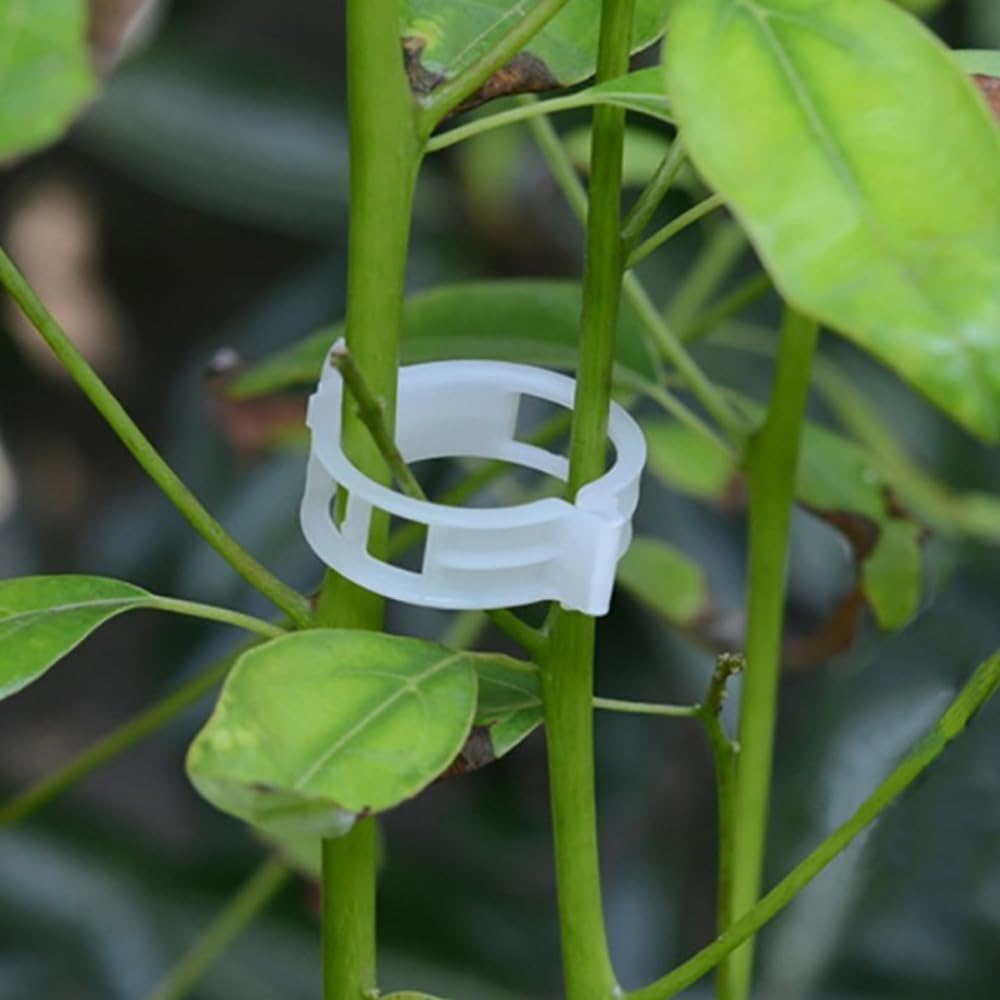 100 Pcs Plastic Plant Clips,Reusable Plastic Trellis Plant Support Clips Plant Fixing Clips Garden Clips for Climbing Plants,Grape Tomato Vine,Vegetables Plants image number 3