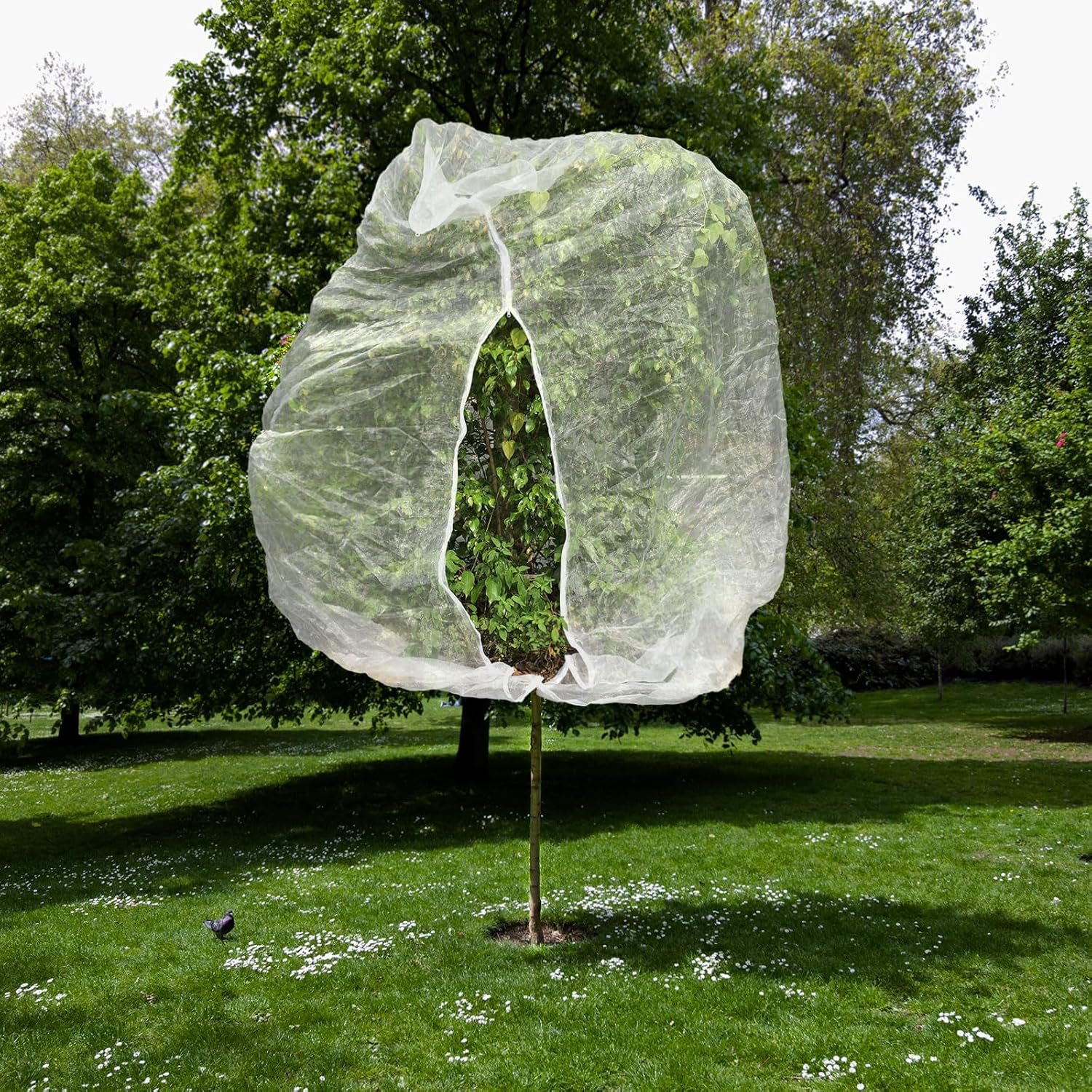 10Ftx10Ft Large Fruit Tree Netting Bags, Bird Netting for Fruit Trees Cicada Tree Netting for Fruits Tree Garden Vegetables Protection image number 6