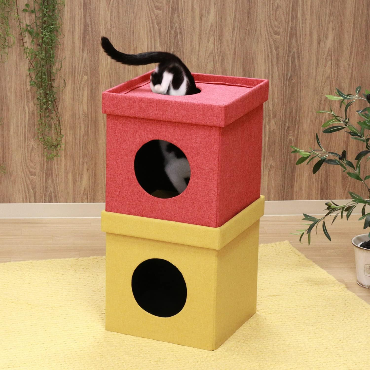 Fuji Boeki 53711 Pet House, Cat House, 2 Tiers, Width 14.8 X Depth 14.8 X Height 29.1 Inches (37.5 X 37.5 X 74 Cm), Red, Yellow, Bi-Color, Connected Type, Foldable, Cube