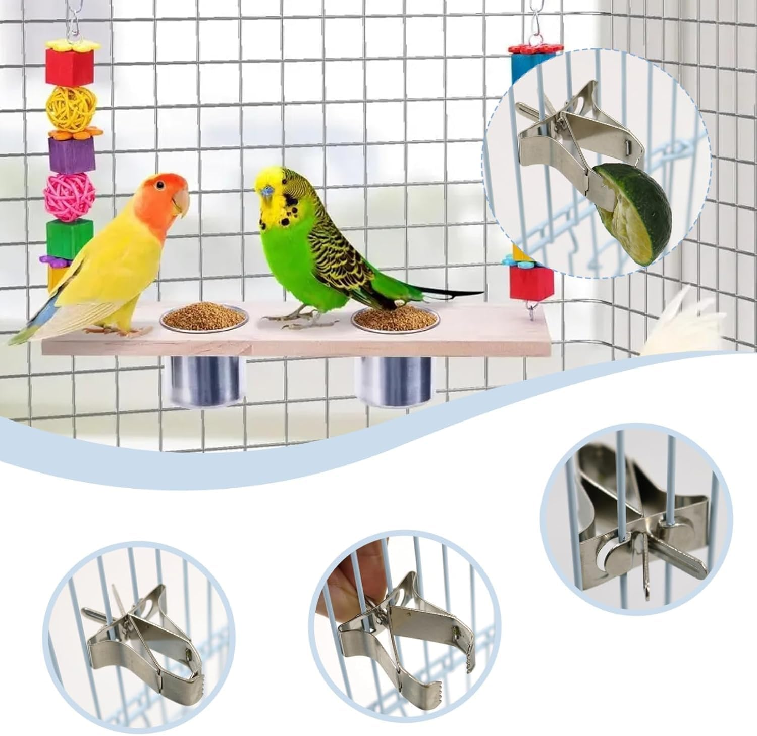 Stainless Steel Parrot Food Clips, 6 Pieces Stainless Steel Parrot Fruit and Vegetable Clips,Stainless Steel Feeder Bird Fruit Vegetable Clamps image number 3