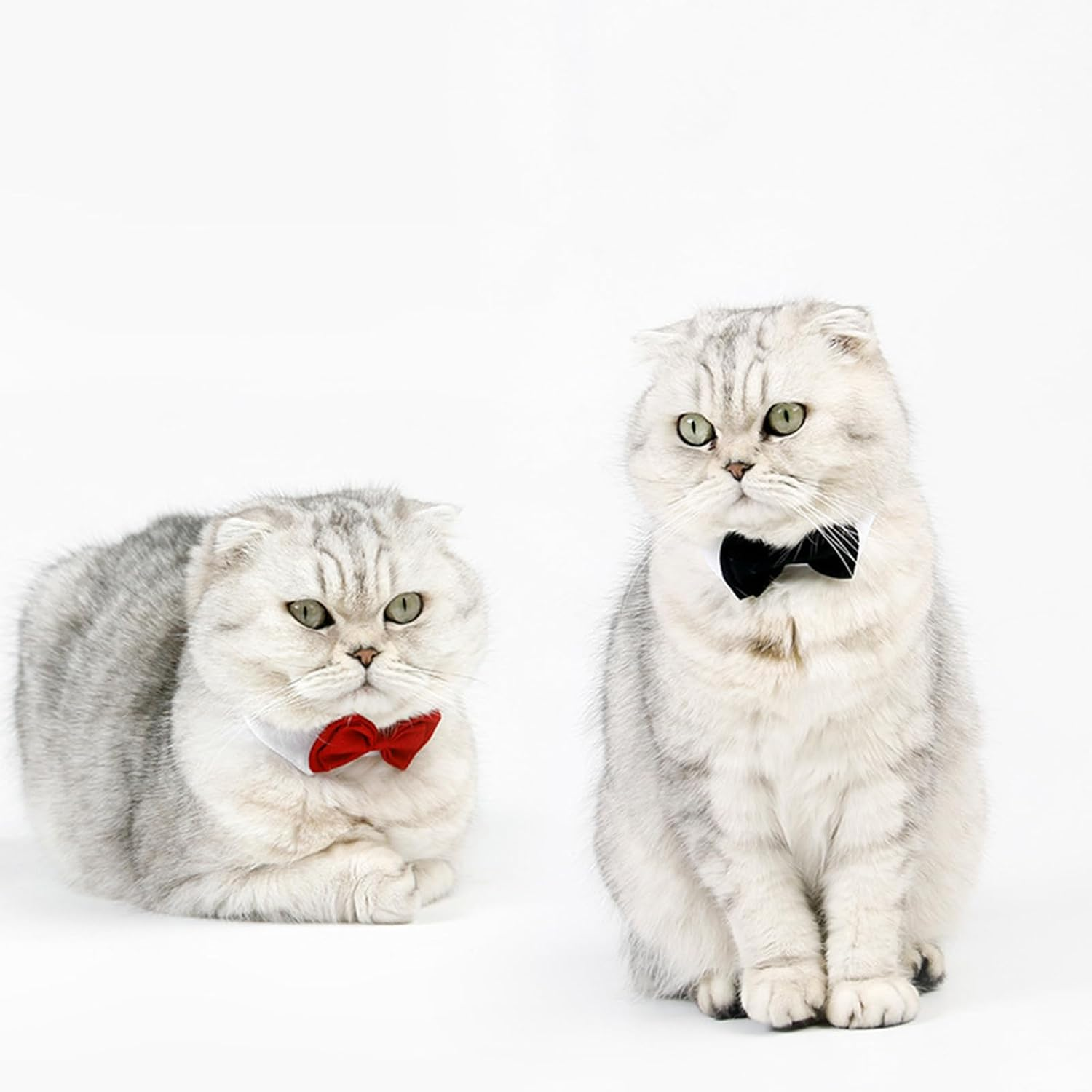 XUNQUCOM Pet Bow Tie Collar for Cats & Dogs (Black-L) image number 2