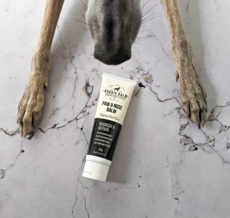 The Doggiebalm Co. Paw & Nose Balm, 60G - Dog Nose, Elbow & Paw Balm - All Natural Pet Skin Care to Nourishes, Hydrate & Repair - Dog Skin Treatment for Sensitive Skin image number 4