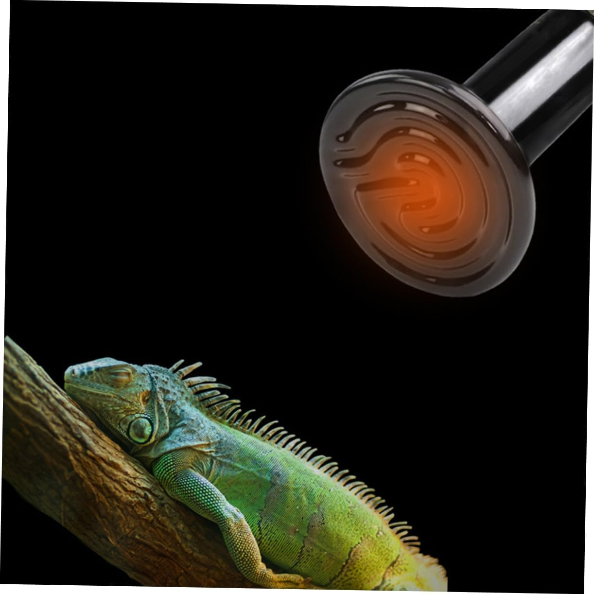 Kisangel 150W Reptile Heat Lamp Bulb Set E27 Ceramic Light Holder for Lizards Snakes image number 2