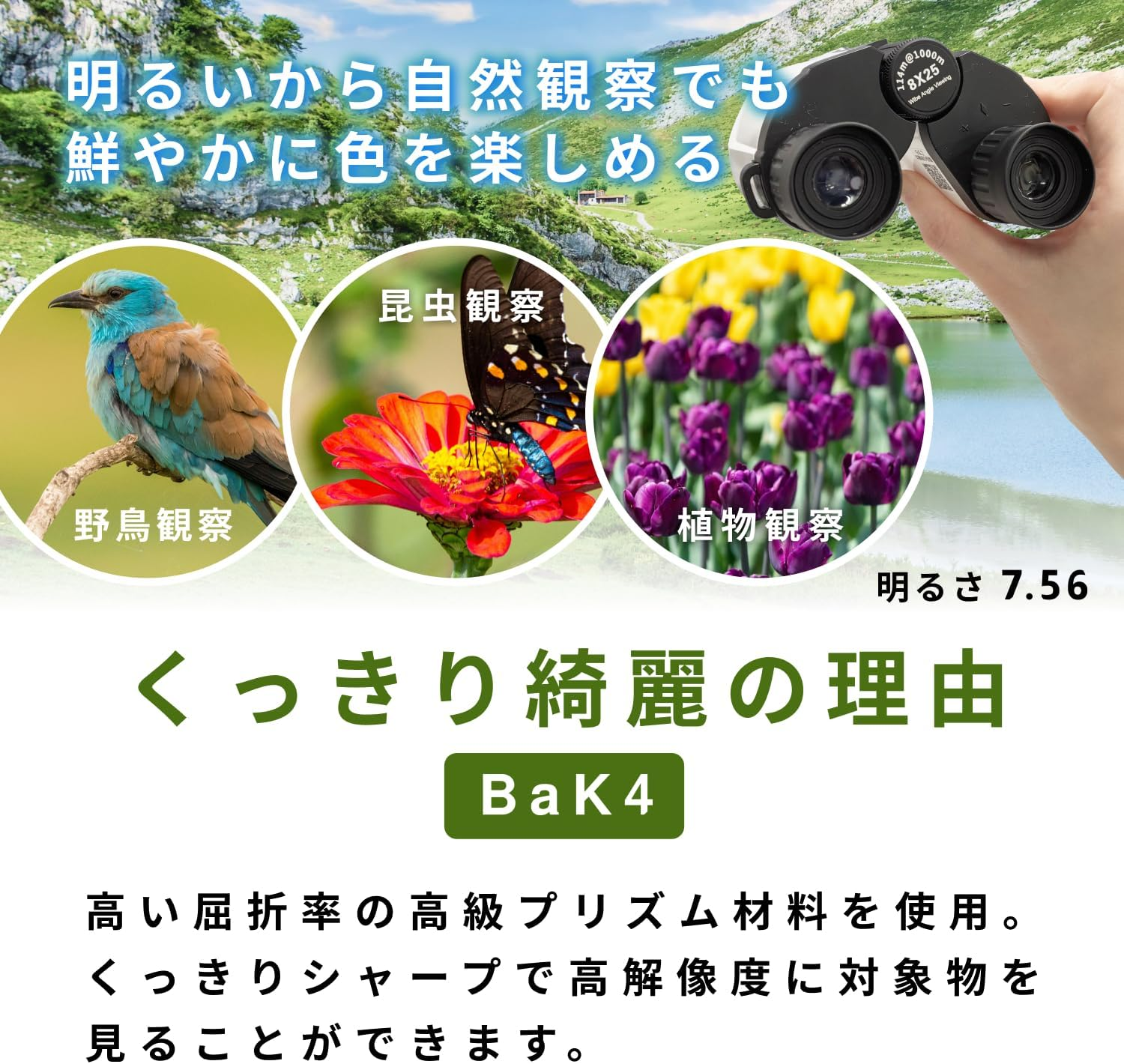 Dretec Binoculars for Live Use, Lightweight, 6.7 Oz (190 G), Premium Prisms Bak4 Use, Clear Design, Bright, Lightweight, for Live Concerts, Bird Watching, Theater, Music Listening, Children