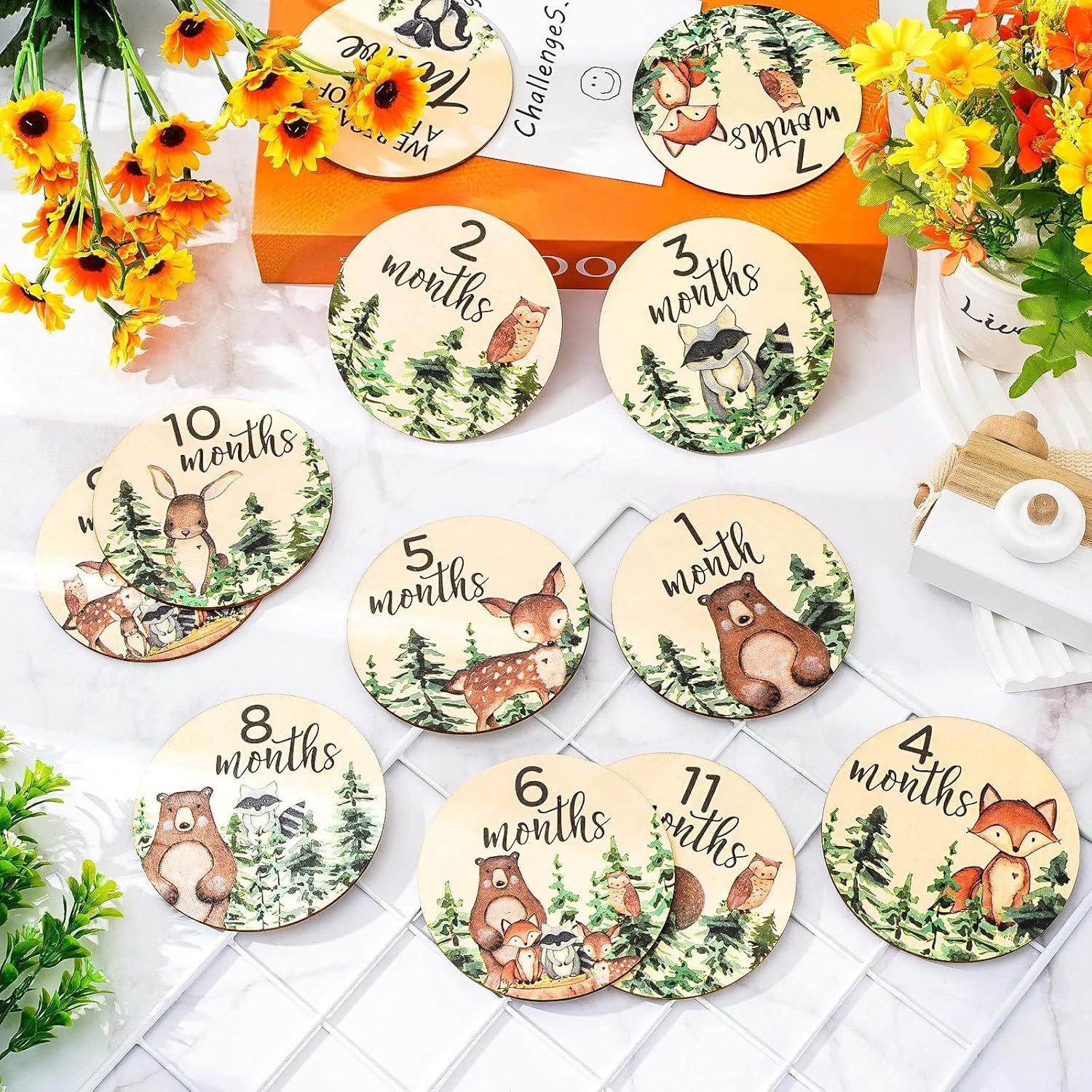 12Pcs Woodland Monthly Milestone Cards Milestone Wooden Discs Double-Sided Cute Animal First Year Age Announcement Sign for Newborn Photo Props Gift