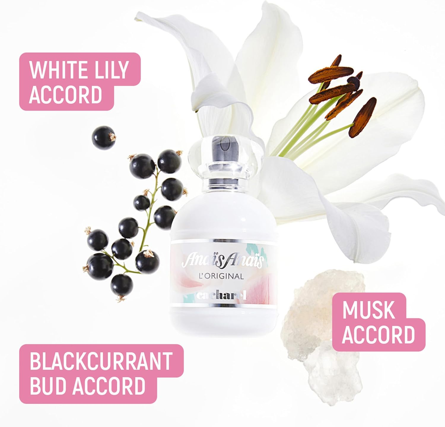 (100Ml) - Anais Anais - Eau De Toilette 100Ml