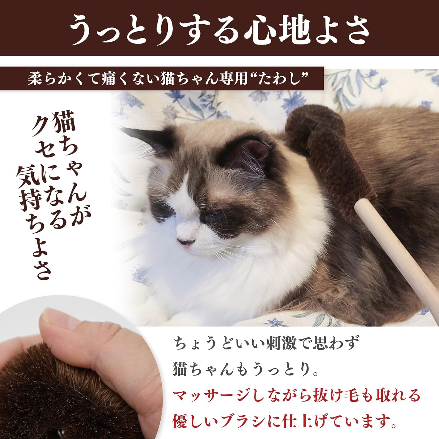 Pet Pro Cat Guru Cat Delight Massage Hair Removal Brush Long Keytail Cat image number 3