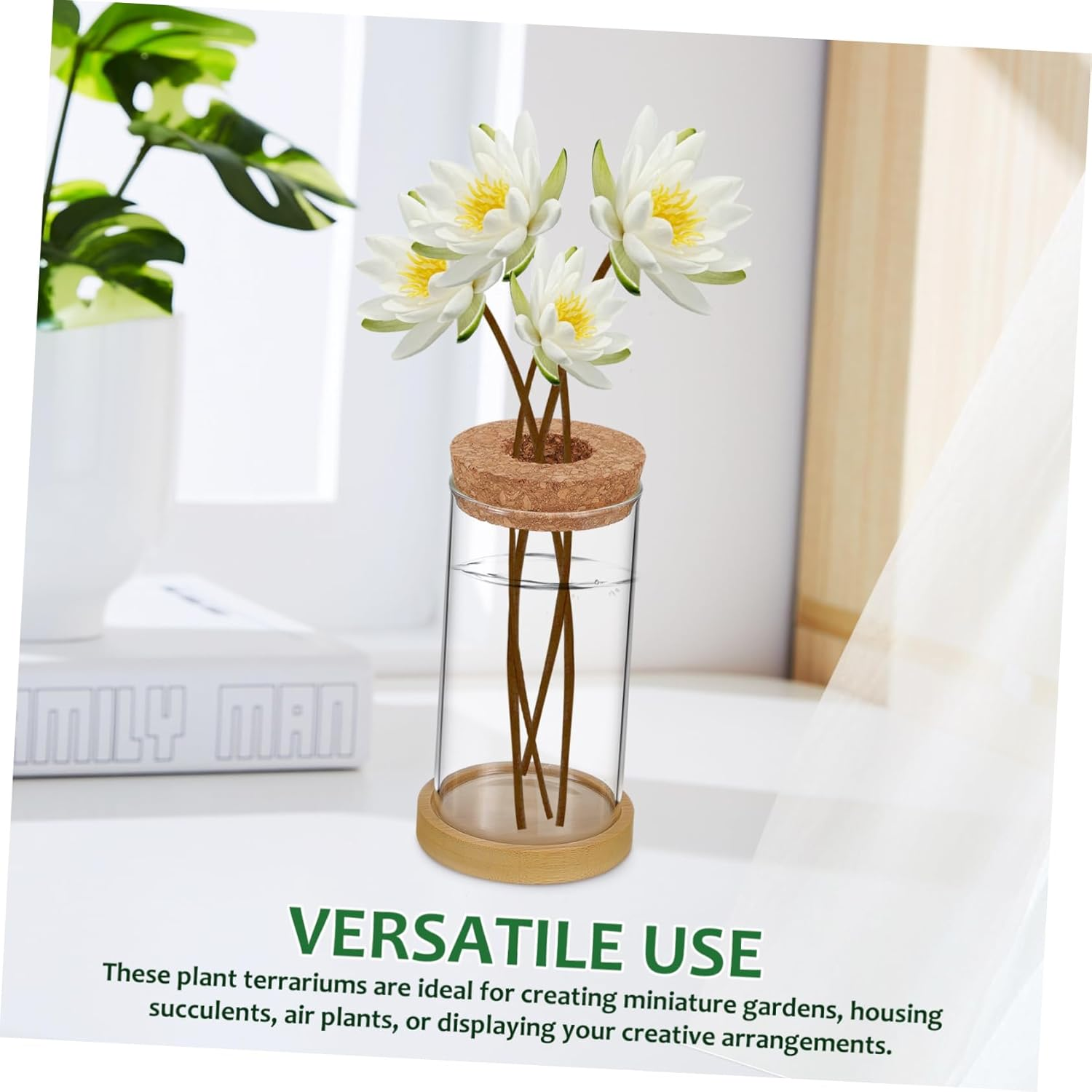 2Pcs Hydroponic Plant Vase Glass Terrariums Cork Lid Propagation Vases for Indoor Water Planter for Seedling Pots and Gardening Supplies image number 4