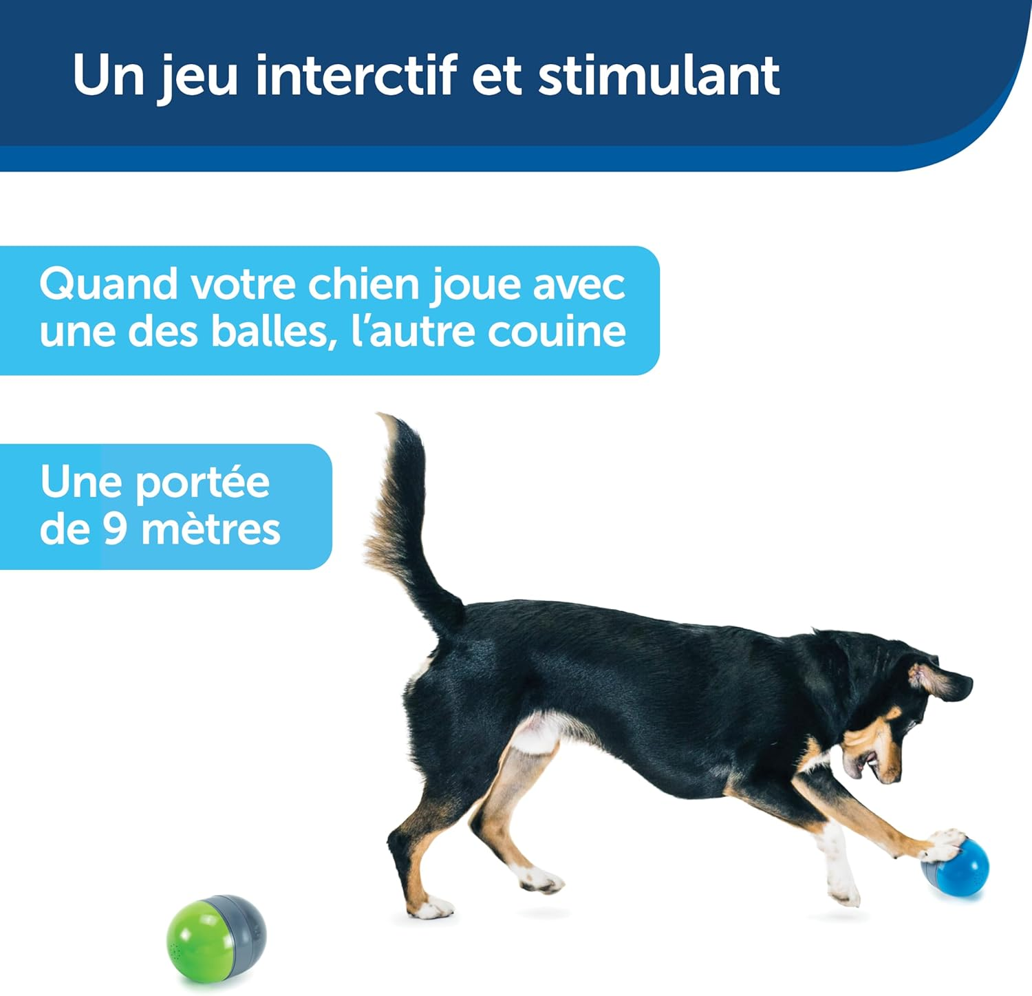 Petsafe Electronic Dog Toy, image number 5