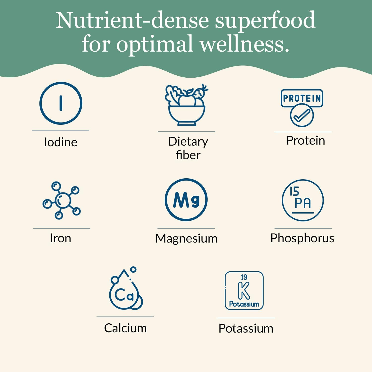 Maine Coast Sea Vegetables - Wild Atlantic Kombu Kelp - 2 Oz. image number 5