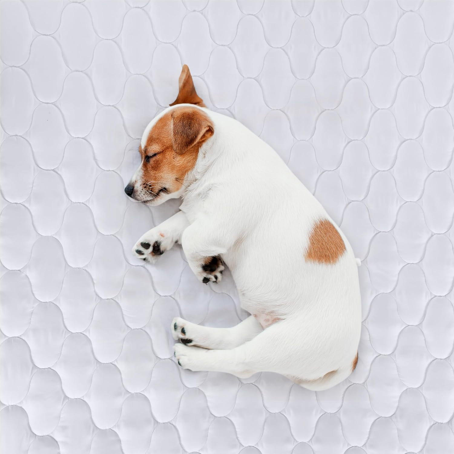 NY Threads Mattress Protector Waterproof Quilted Fitted King Size, Mattress Cover Stretches up to 40 Cm Deep Mattress Topper, Waterproof Mattress Pad in Onion Quilting Pattern (1, White 183X203 Cm) image number 2