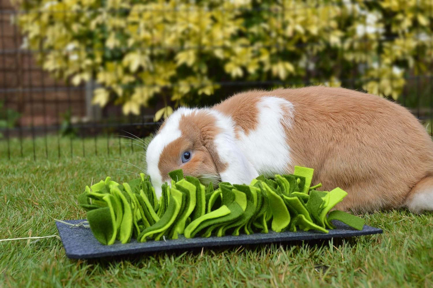 Rosewood Boredom Breaker Snuffle Forage Mat for Small Animals image number 4