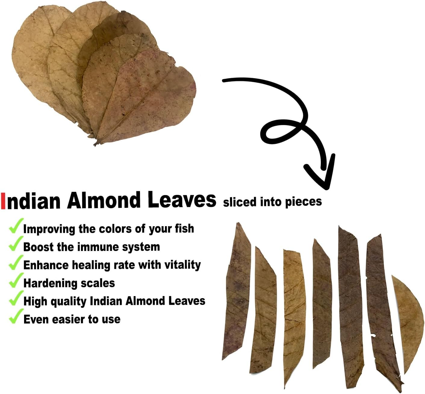 Bettaleaf Comfort Zone Fish Indian Almond Leaves Slice in Pieces Leaf Ready to Use 45 Grams Pack (80~100 Pieces) | Best Gold Brown Quality | Fish Tank for Betta Fish Shrimp Crayfish, for Healthy image number 4