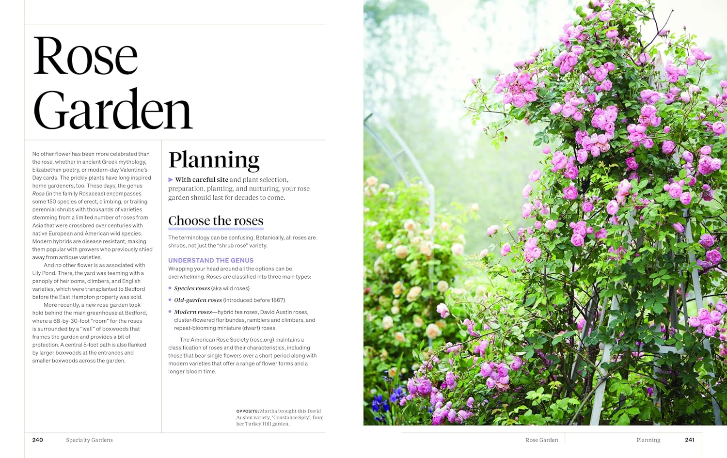 Martha Stewart'S Gardening Handbook: the Essential Guide to Designing, Planting, and Growing image number 2