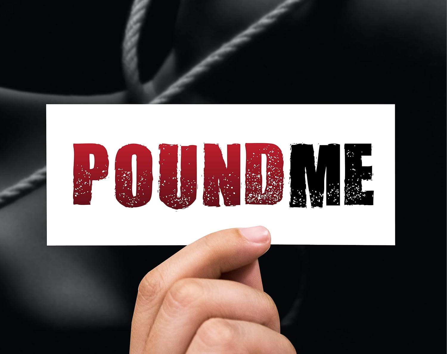 30 Sexy Naughty Temporary Tattoo Kinky Adult Fake Sticker image number 2