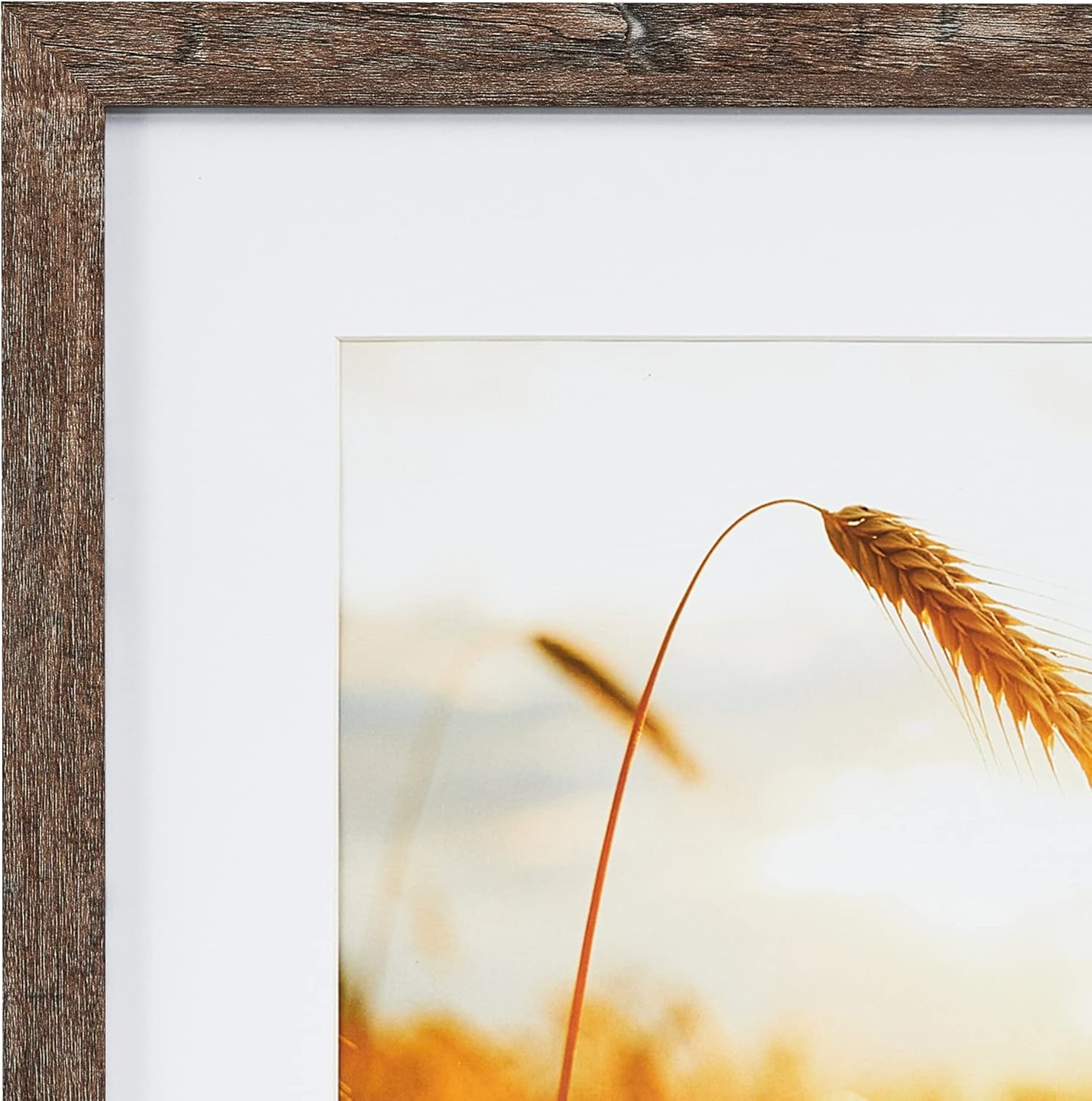 Cooper & Co. Set of 2 40X40Cm Matt to 30X30Cm Natural Premium Rustic Wooden Photo Frame image number 5