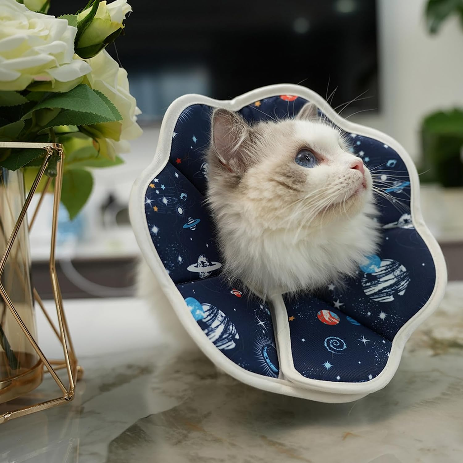 Adjustable Cat Collar, Soft Foldable, 19-25Cm Collar, M image number 6