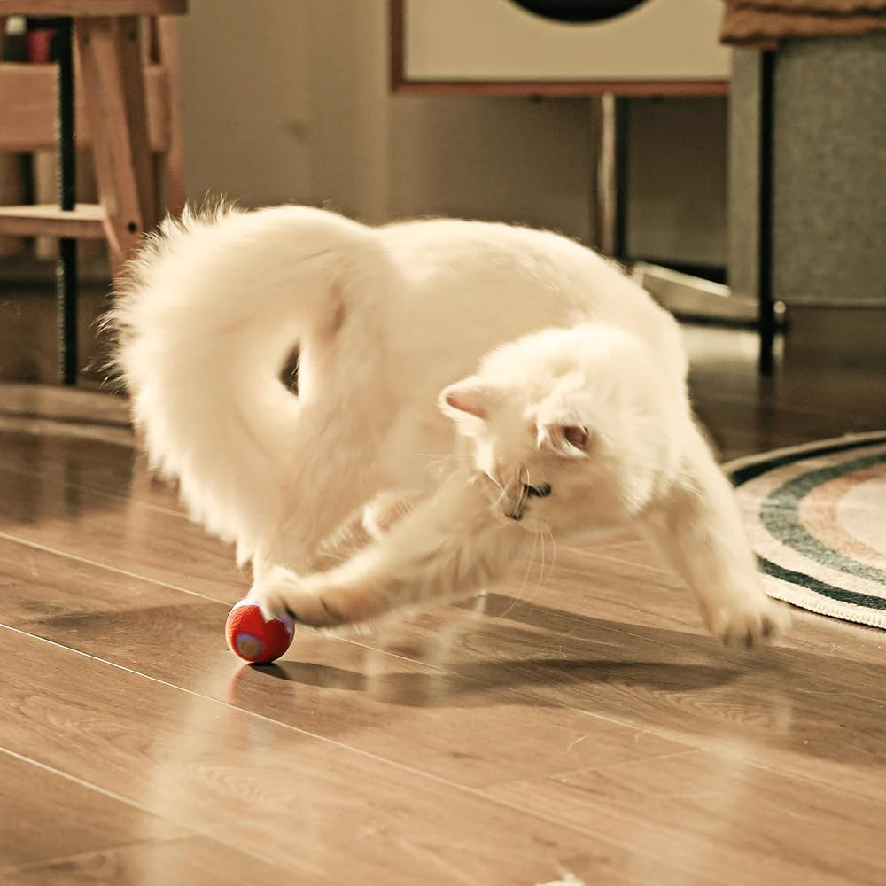 Cheerble Mini Ball 2.0 - Intelligent Interactive Automatic Rolling Ball for Cats - 3 Play Modes - Cat Toy - USB Rechargeable - Cat Toy Intelligence & Electric (Red) image number 4
