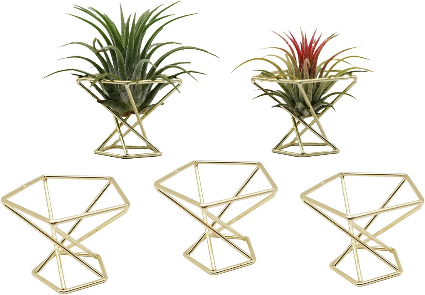 Pack 5 Gold Air Plant Holder Air Plants Holders Tillandsias Display Air Purifying Plant Container Air Fern Stand Geometric Decor for House, Wedding Party - 5, Gold image number 5