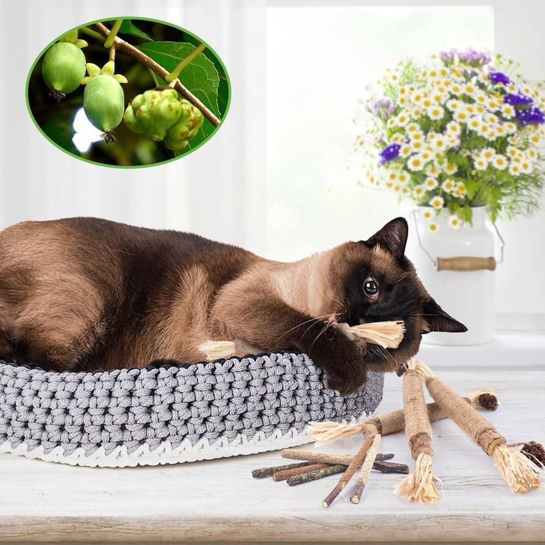 Nuna Pets Cat Chew Stick, Nunapets Cat Chew Toy, Silvervine Chew Sticks for Cats, Nunapets Natural Silvervine Stick Cat Chew Toy, Silvervine Sticks for Cats, Cat Teeth Cleaning image number 2