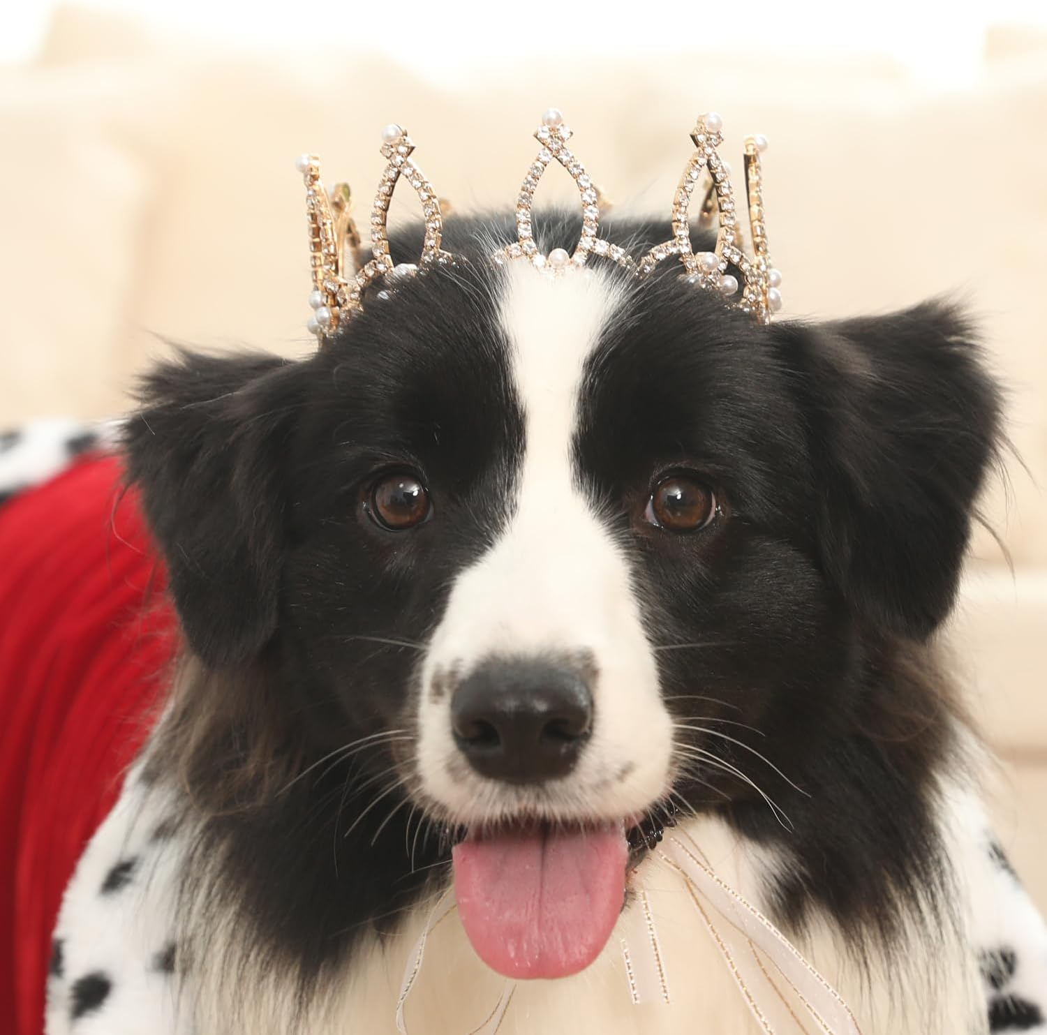 Lovelyshop Pet Series Gold Plated Royal Rhinestone Pearl Full round Dog/Cat Crown for Costume Hair Accessories-Xsmall Size image number 2