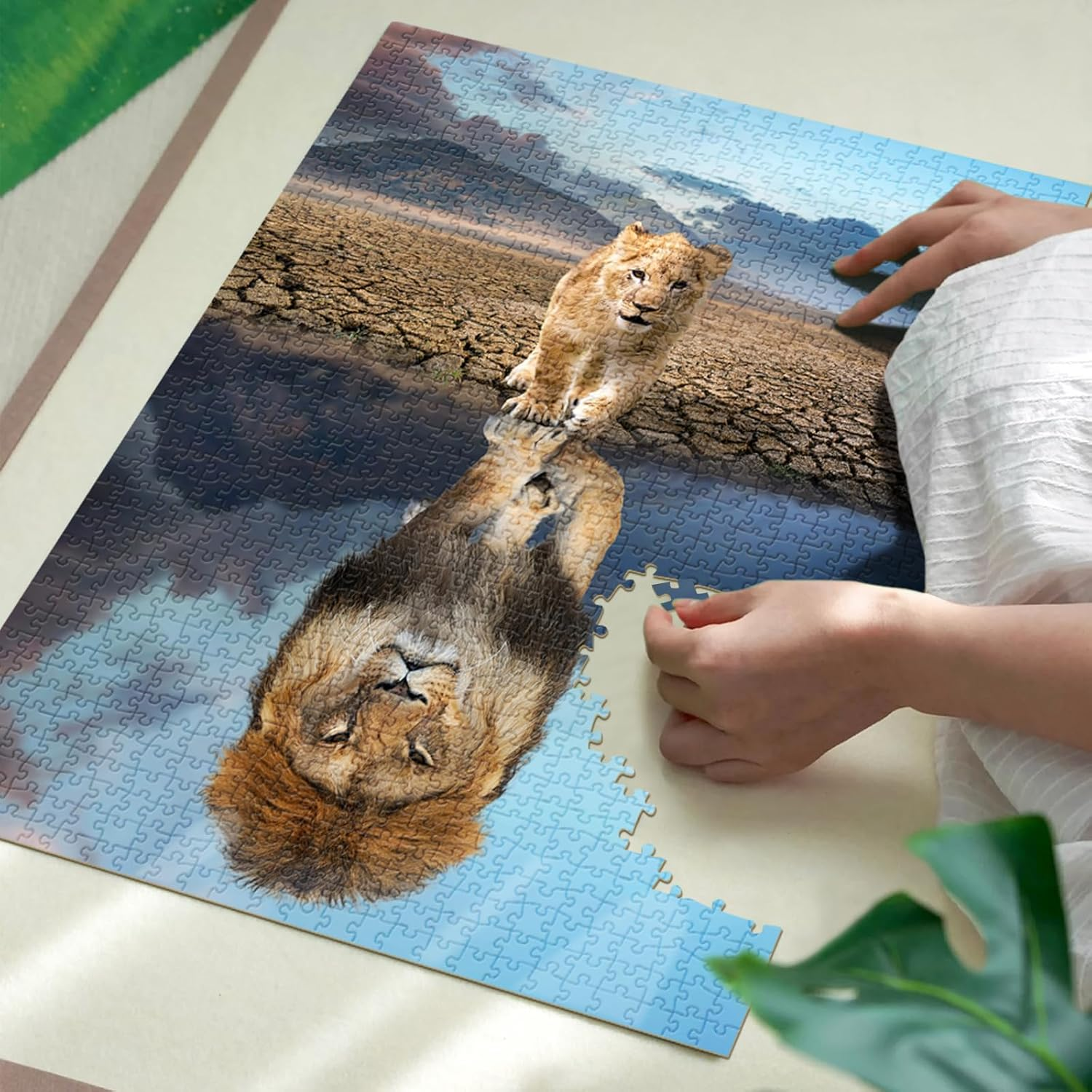 HUADADA Jigsaw Puzzles for Adults 1000 Pieces, Puzzles for Adults 1000 Piece, Challenging Game Toys, Impossible Puzzle, Family Decoration Puzzle - Magic Reflection