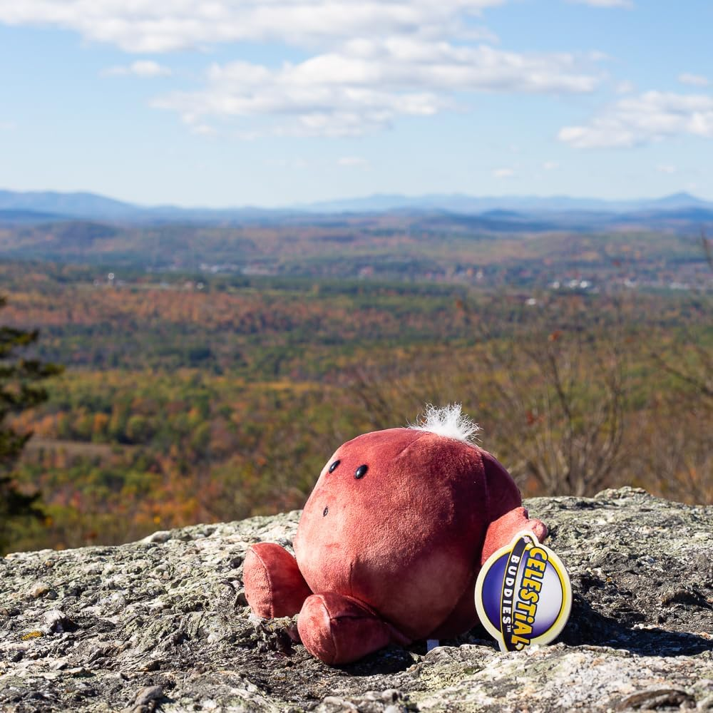 Celestial Buddies Mars Plush image number 4